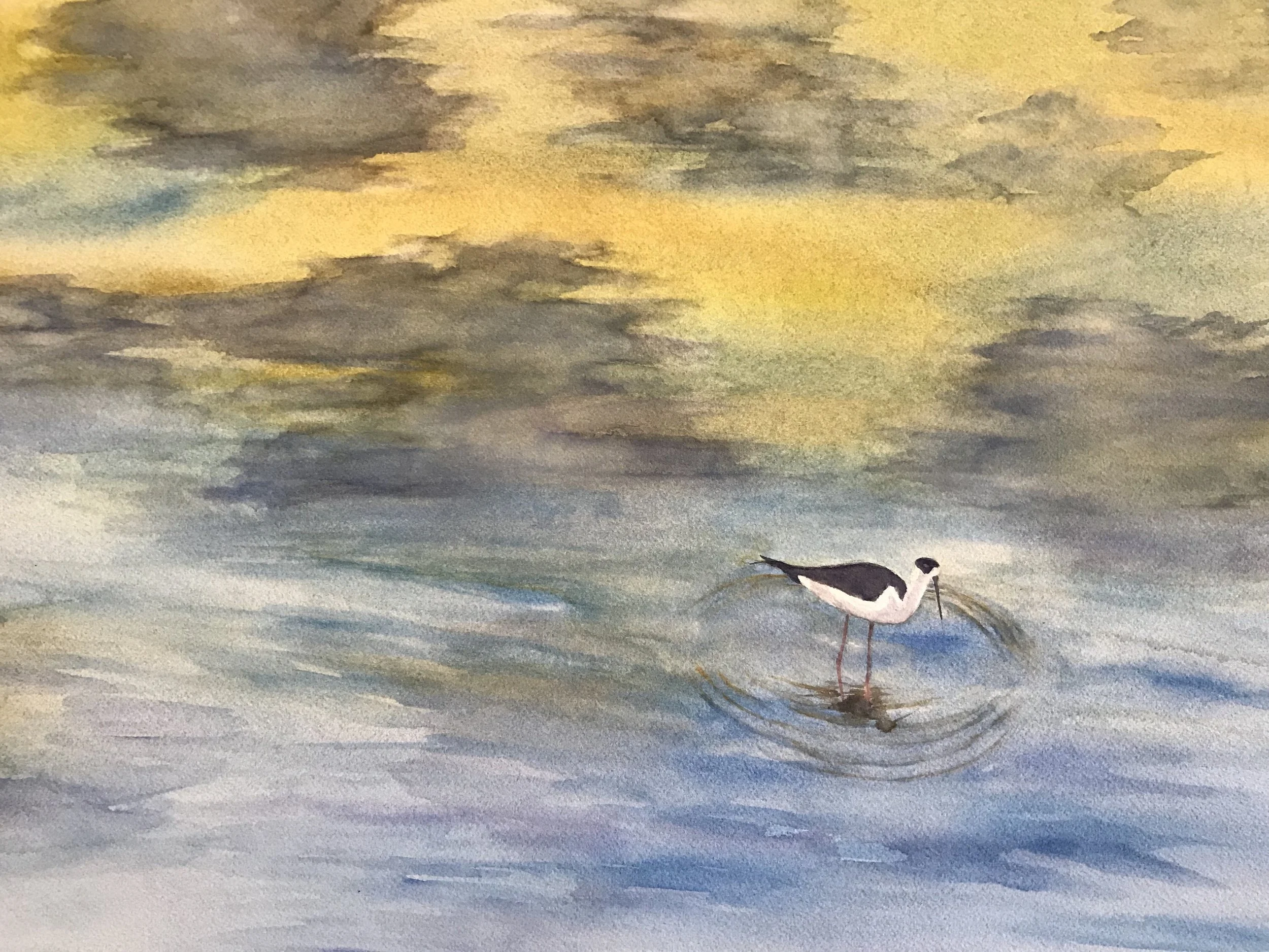 Reflections 14"x20"
