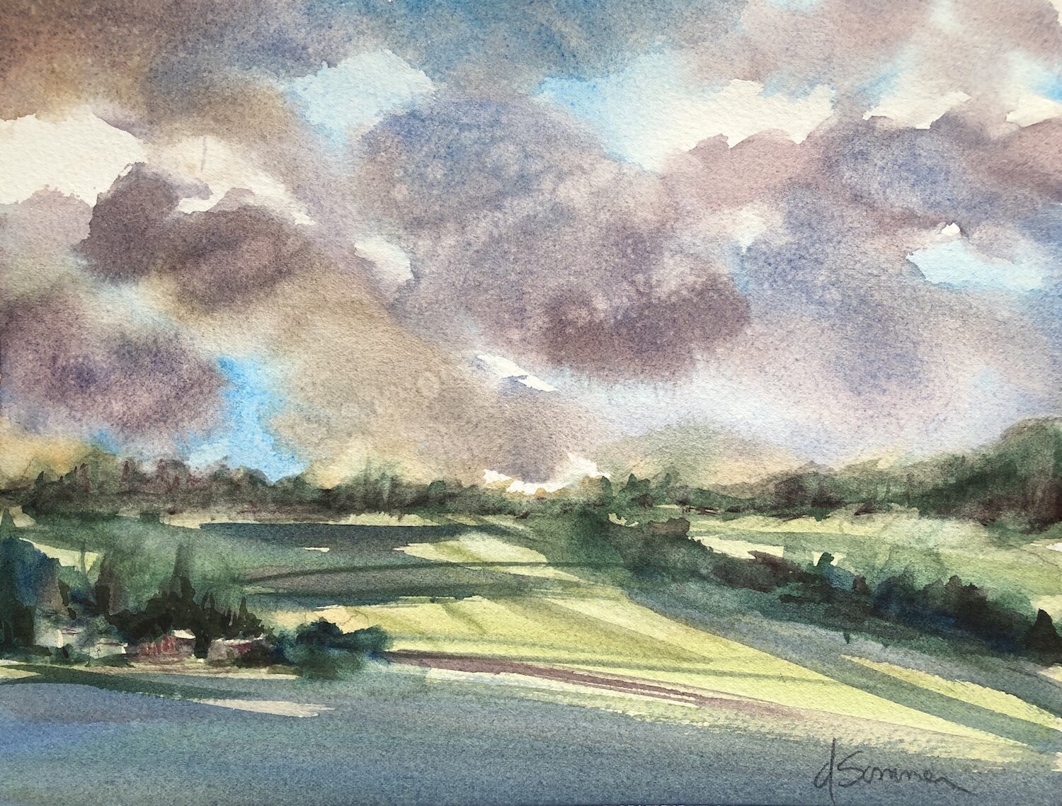Donna Sommer, Spacious Skies 8"x10"