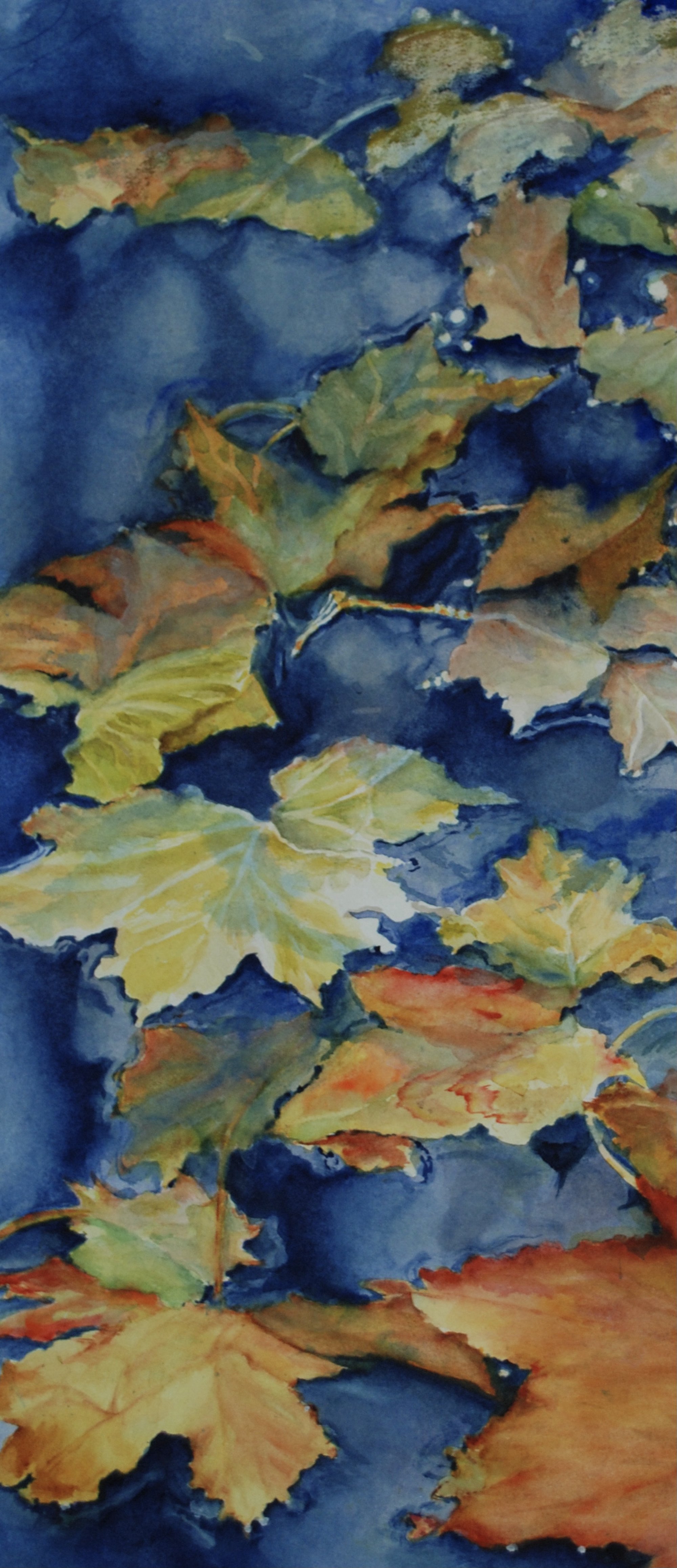 Barbara Littenberg, After the Rain 23”x10”