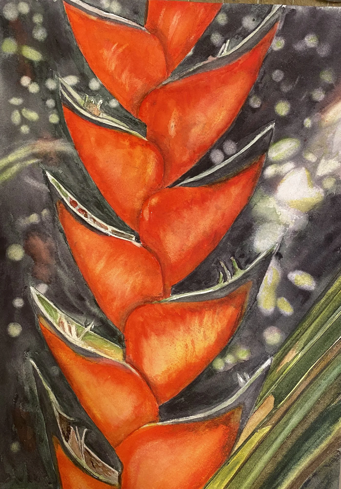 Yvonne Fong, Heliconia 14x10