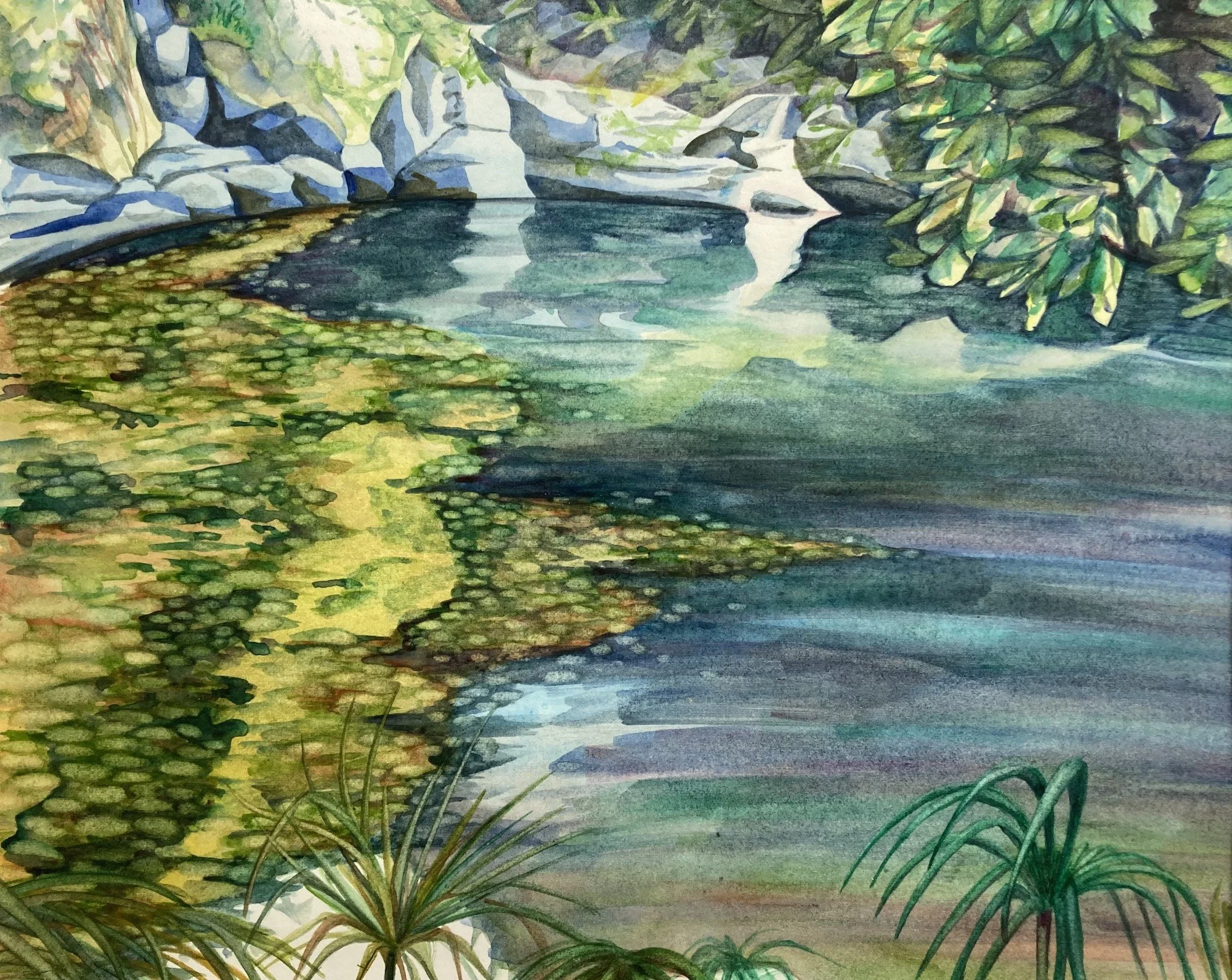 Jessica Orfe, Waipuka 8x10