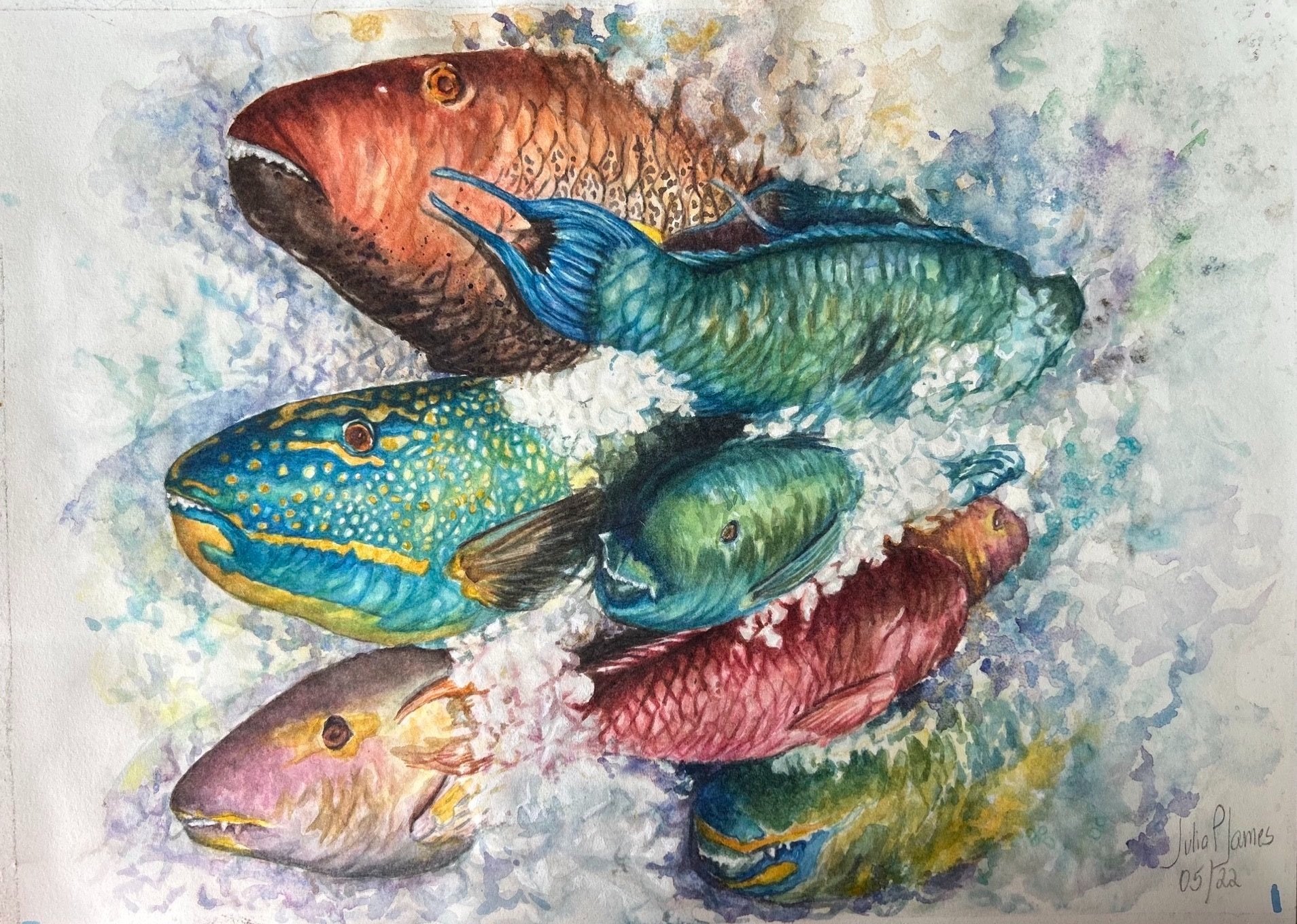 Julia M Piedra Gutierrez, Da Fish Market 14x10