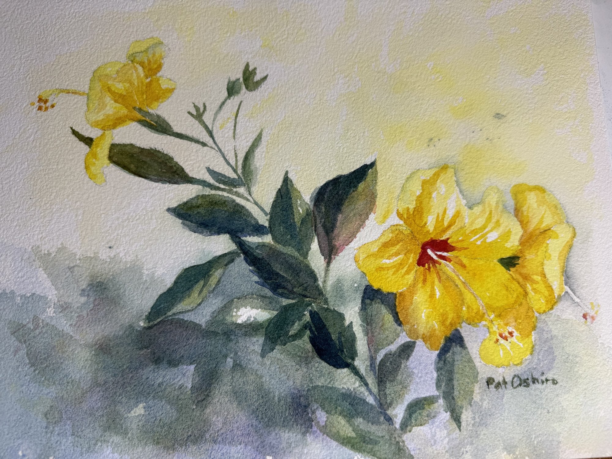 Yellow Hisbiscus, Patricia Oshiro 9x12