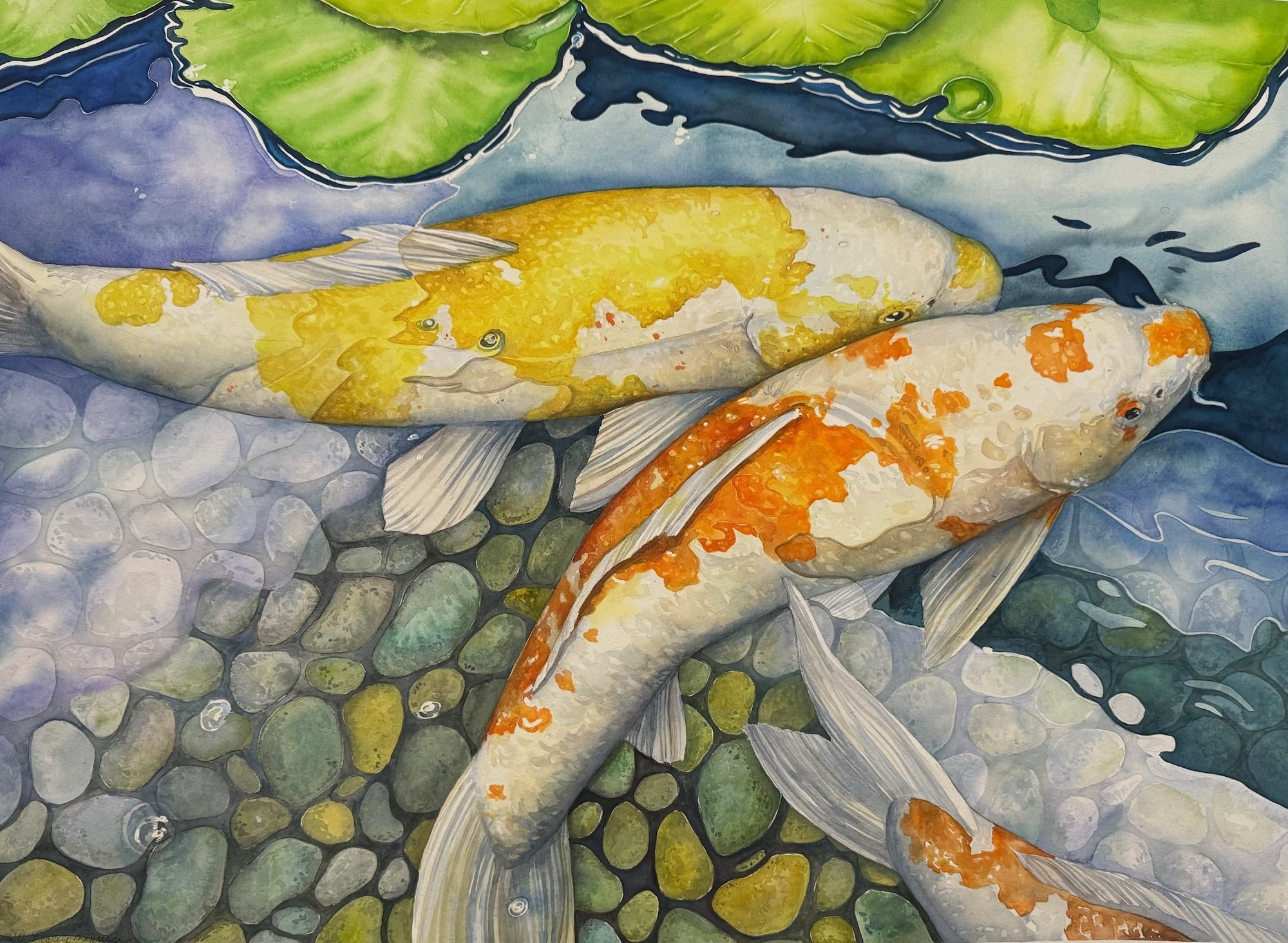 Pebbles and Koi, Leslie Baptista 21x28.5