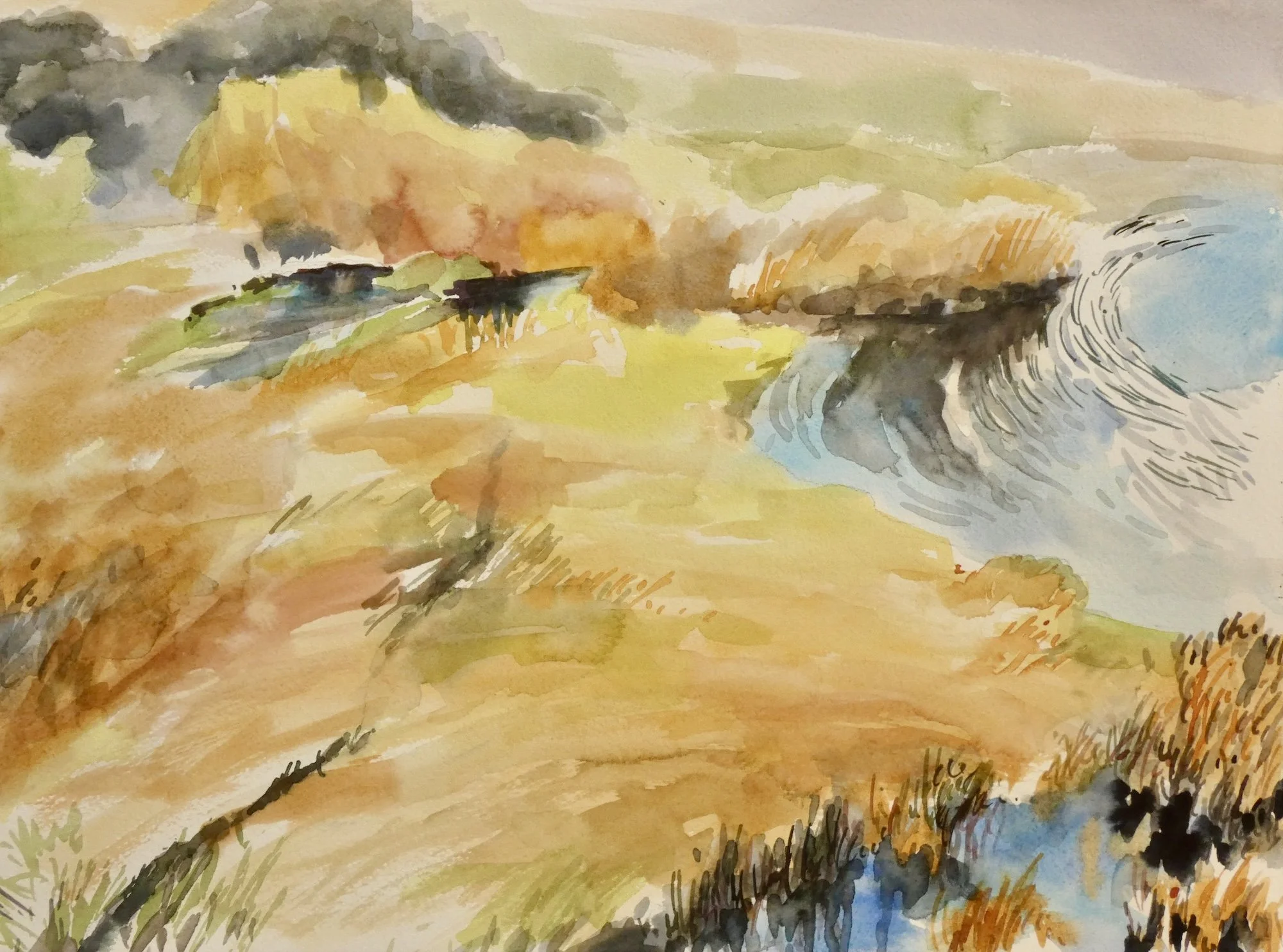 Tamara Moan, The Slough 11"x15"