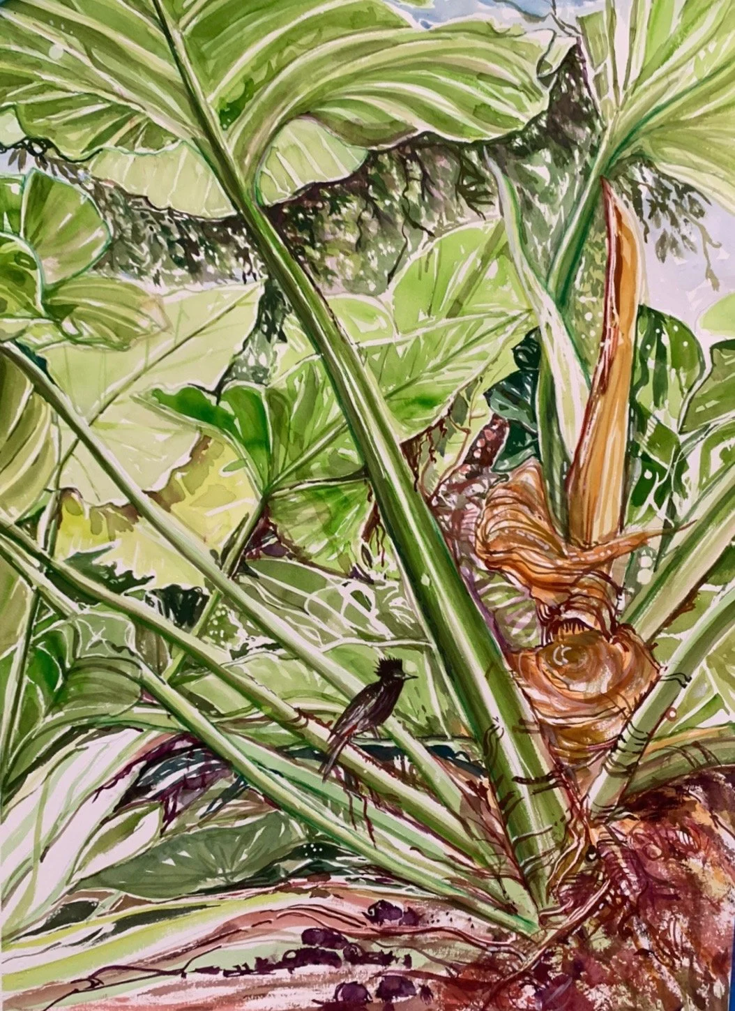 Black Bird, Jane Ra, HWS 28x20, watercolor