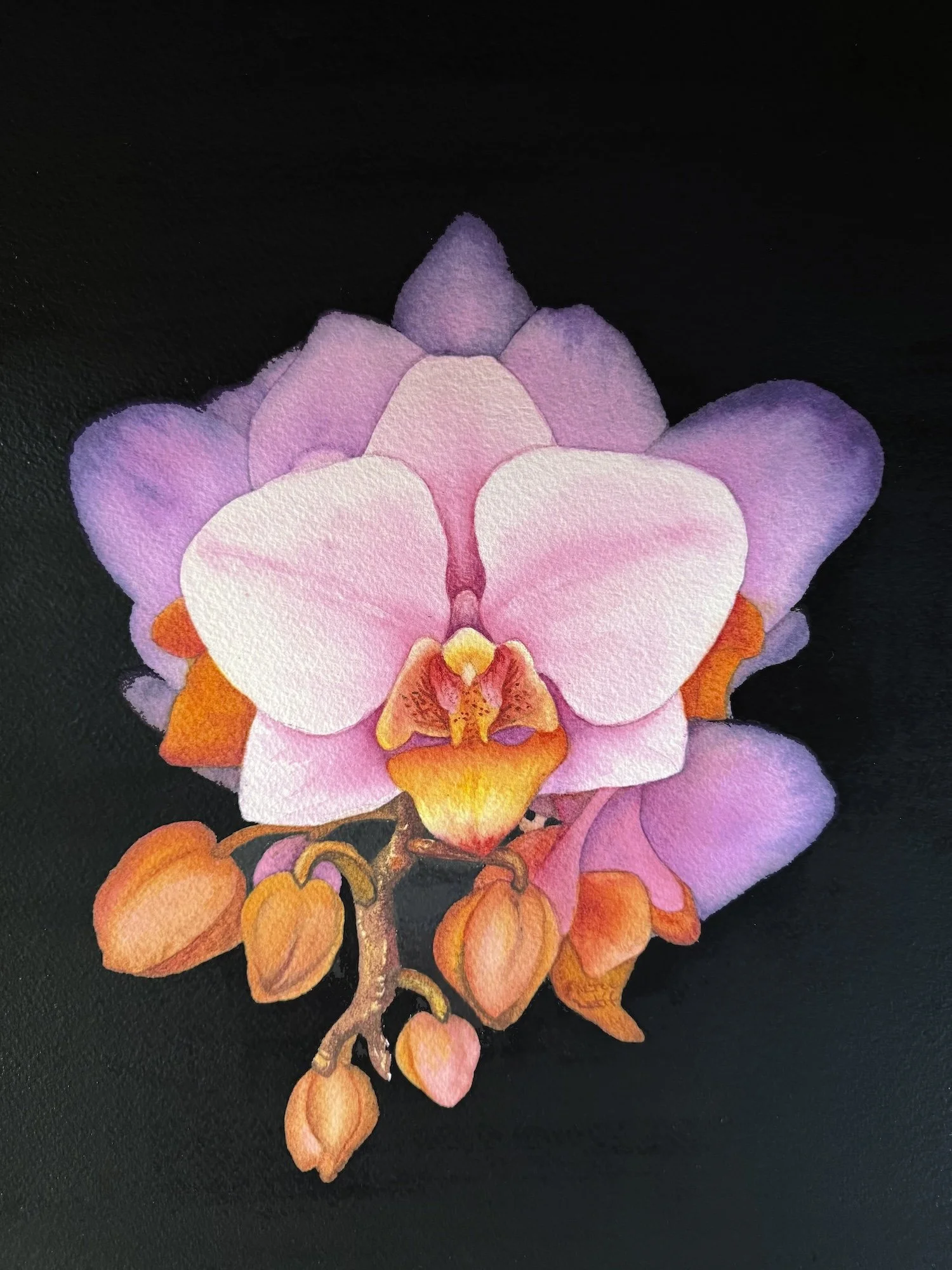 Sheree Latif, Midnight Magic 14x11