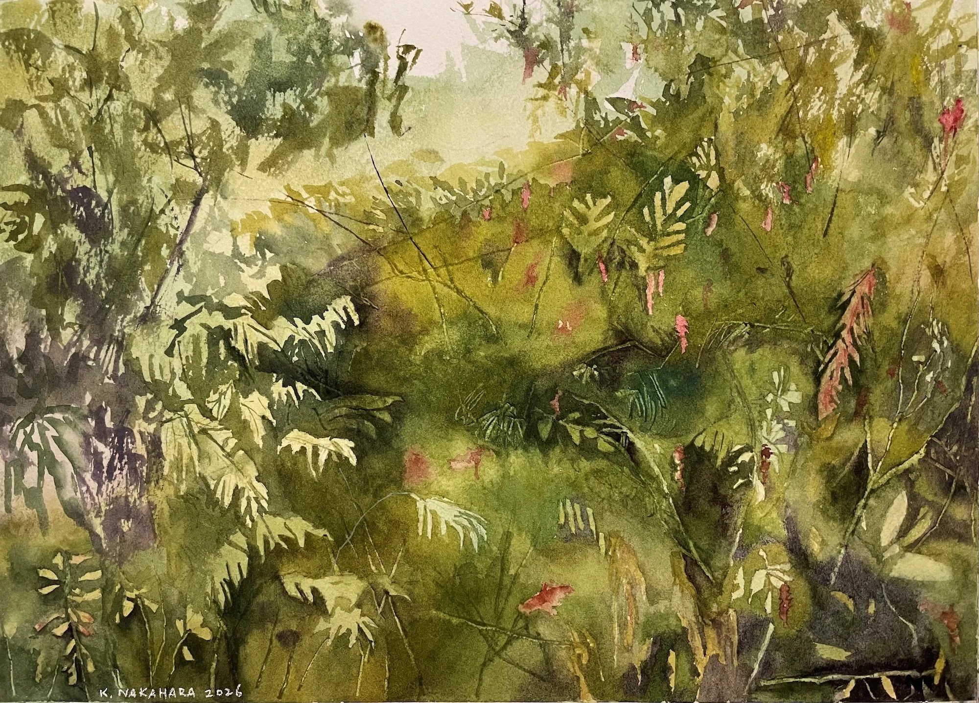 Kyle Nakahara, Ho'omaluhia 8x11.25