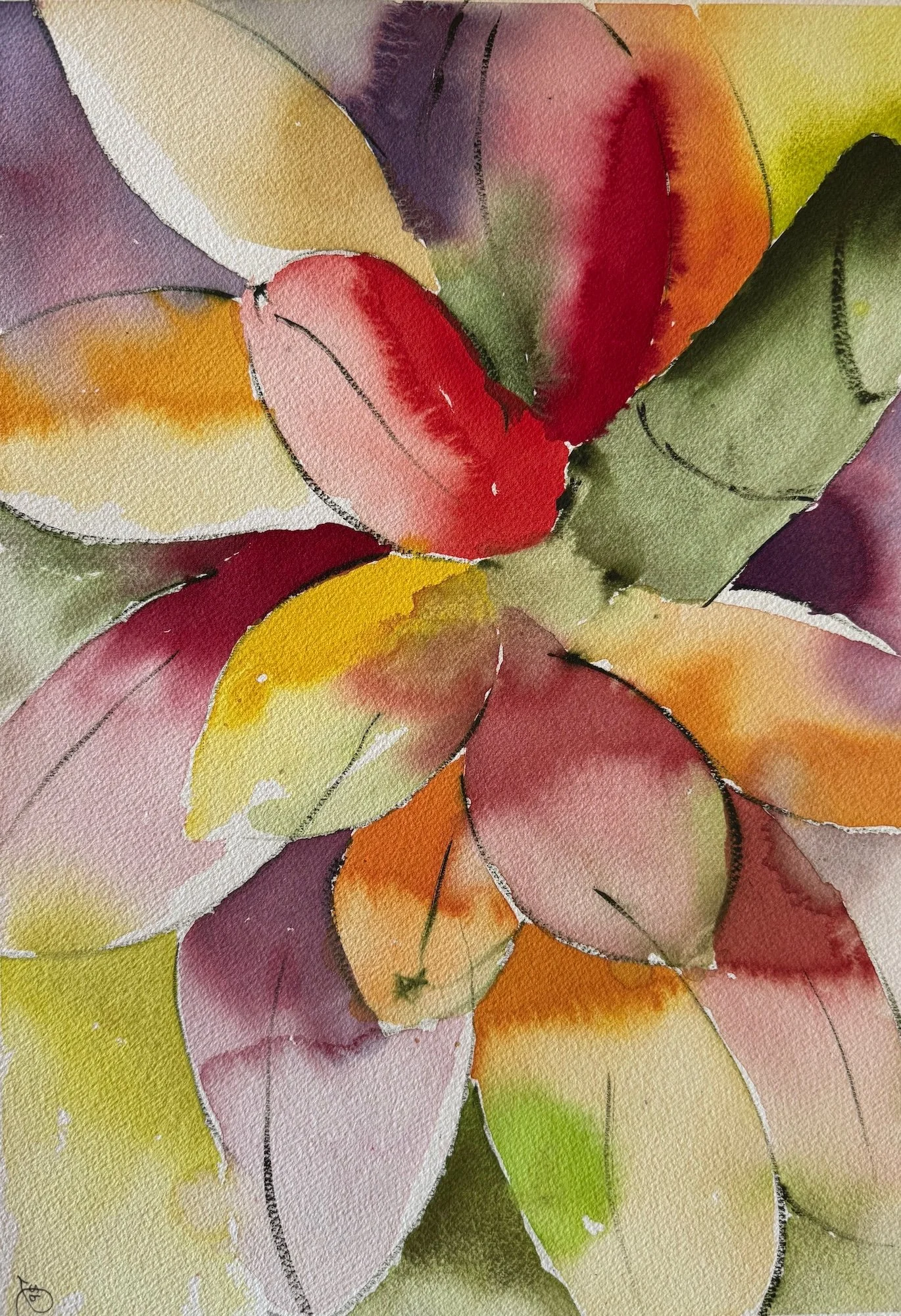 Susan Inouye, Fa'i 15.25x10.5