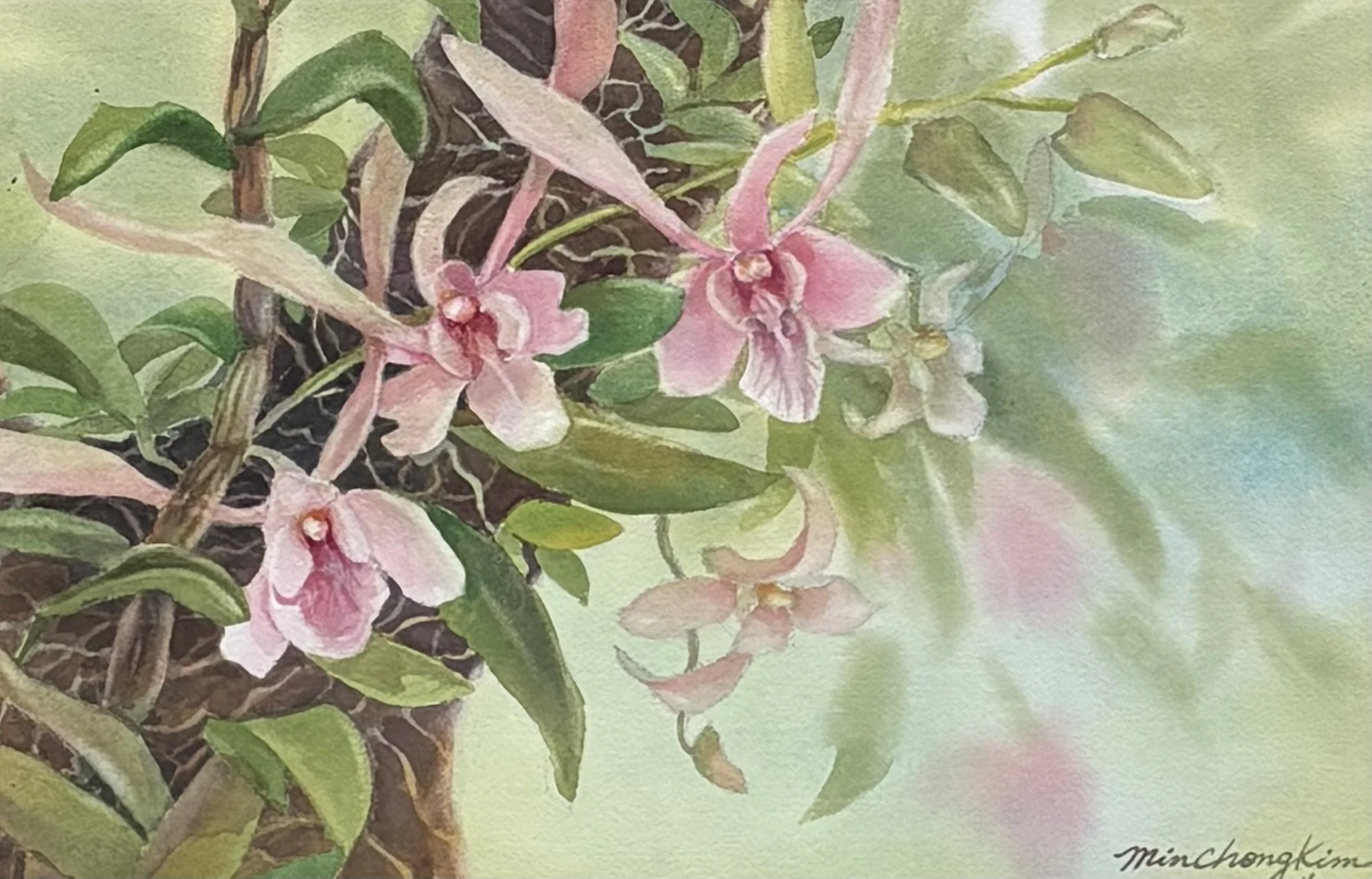 Min Chong Kim, Orchids on the Tree 11x16