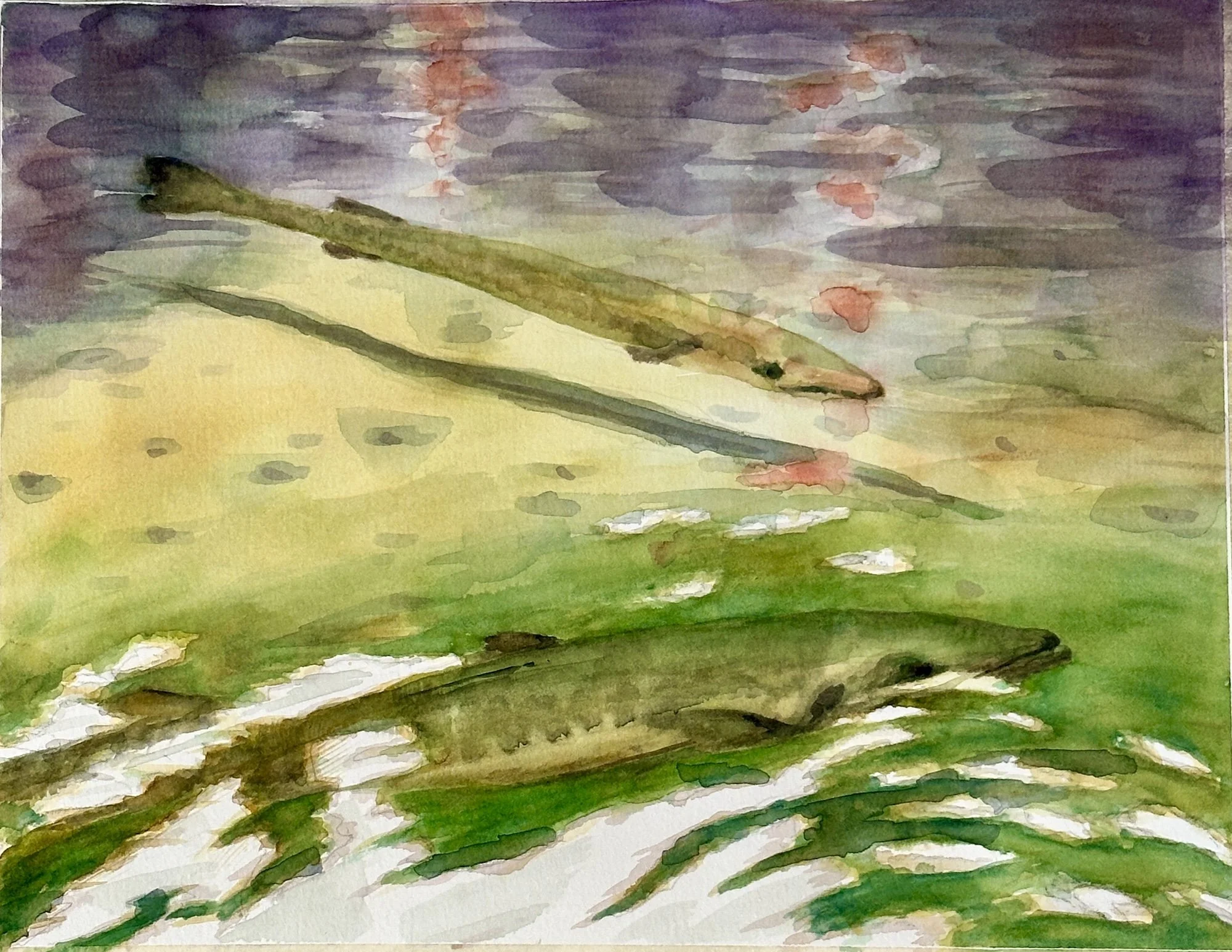 Flora Ling, Kawailumalumai-drowning waters of Kaka'ako 11x15