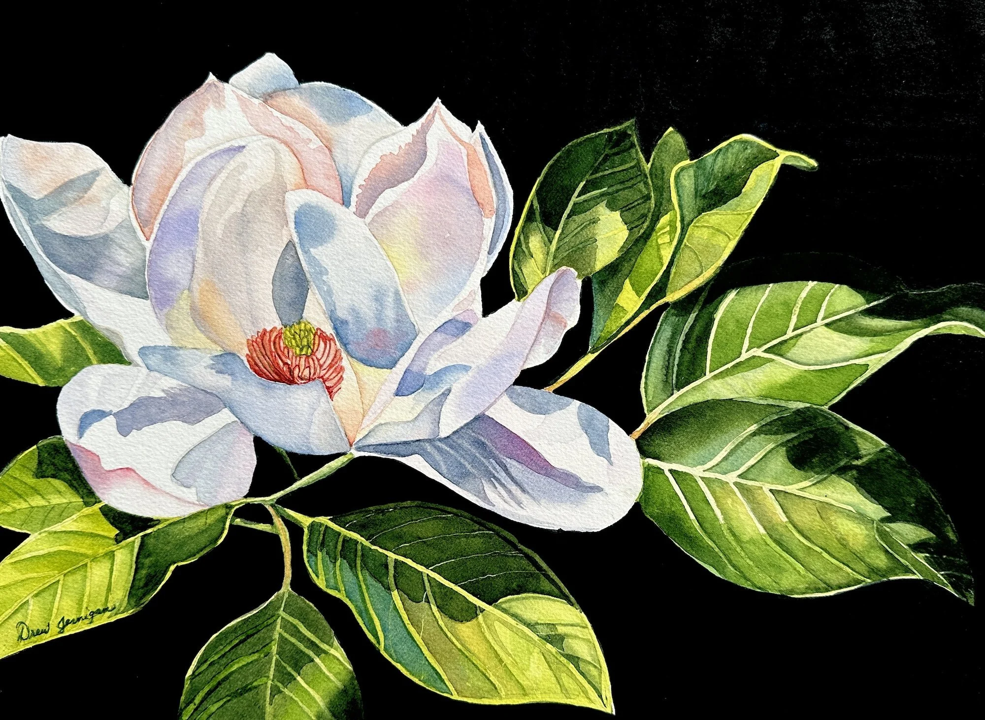 Drew Jernigan, Magnolia at Midnight 12x16