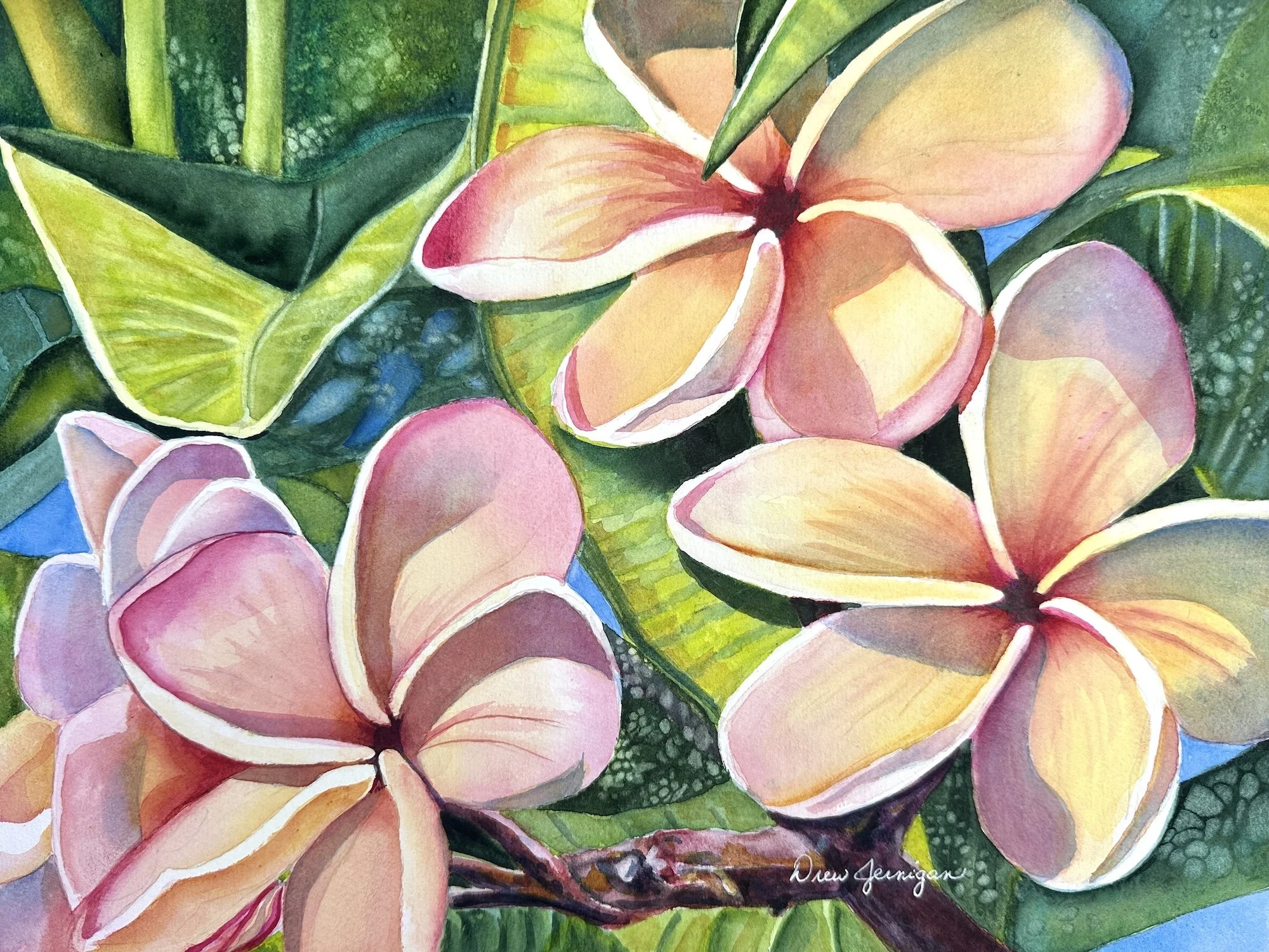 Drew Jernigan, Pua Malia at Dusk 12x16