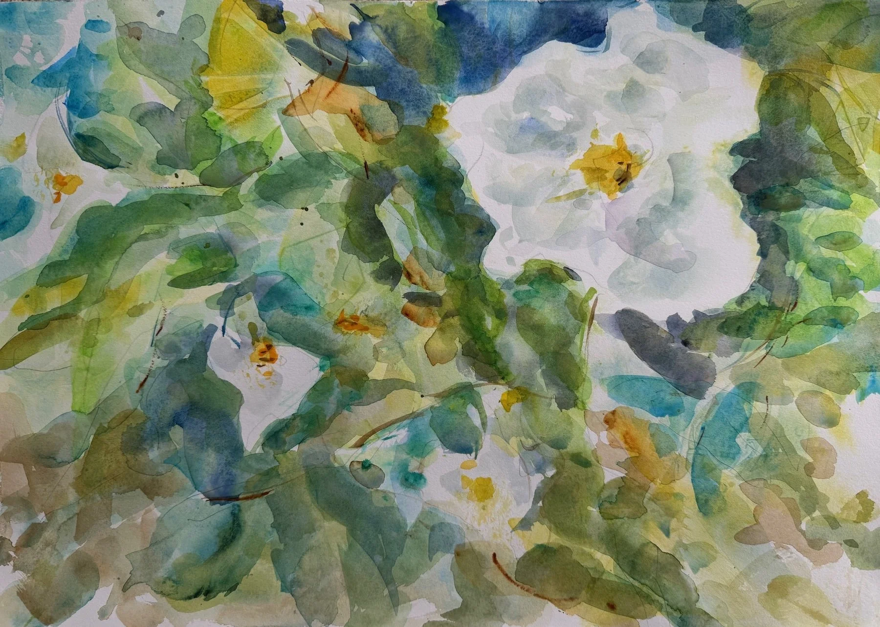 Rochelle Weidner, Mandevilla 14x20