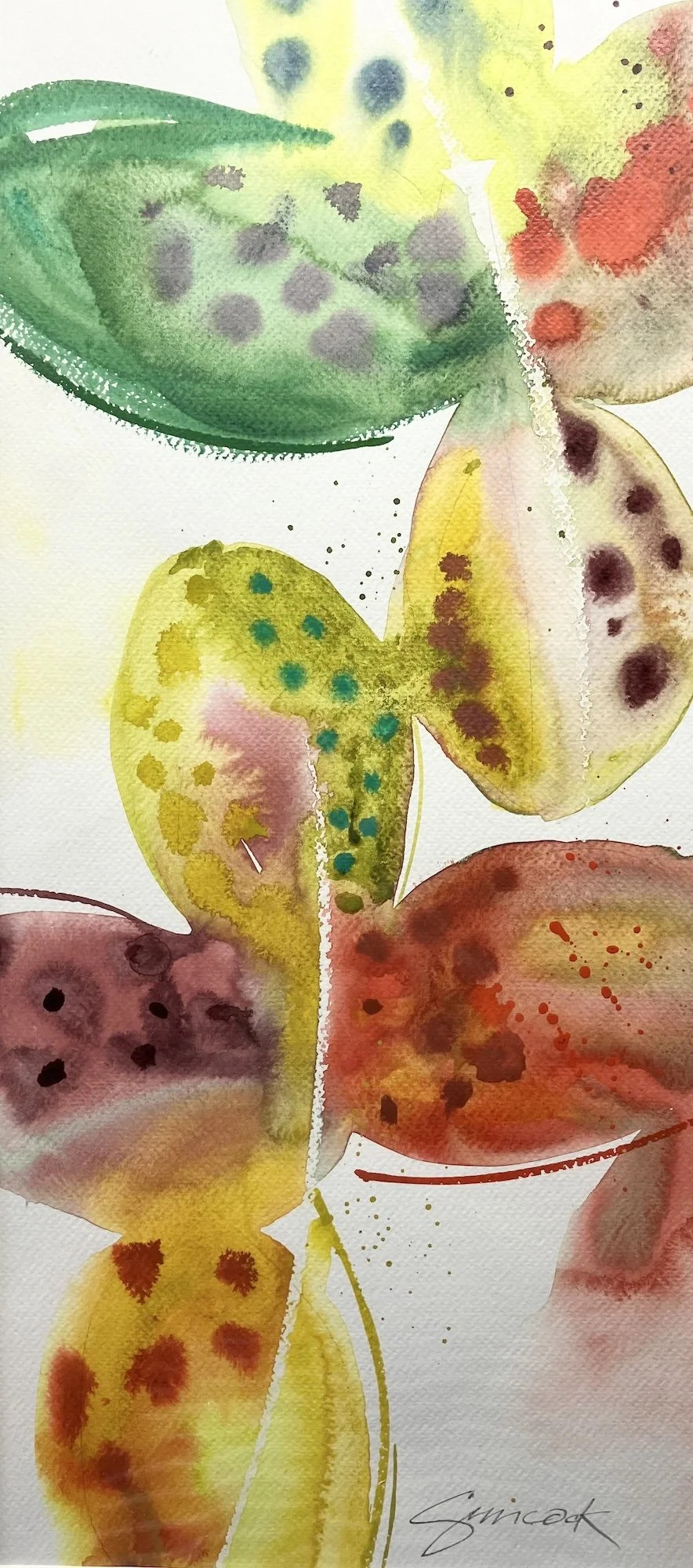 Brennan Simcock, Crazy Cochin 20x9