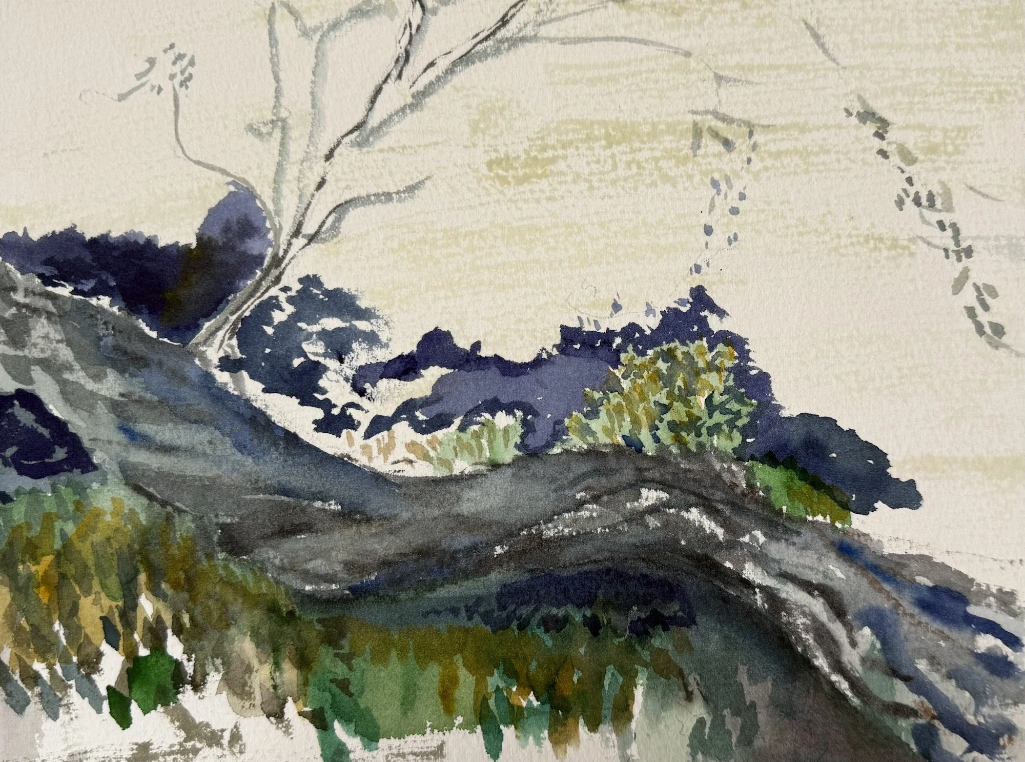 Sharon Billingsley, Over and Under 8x10.5