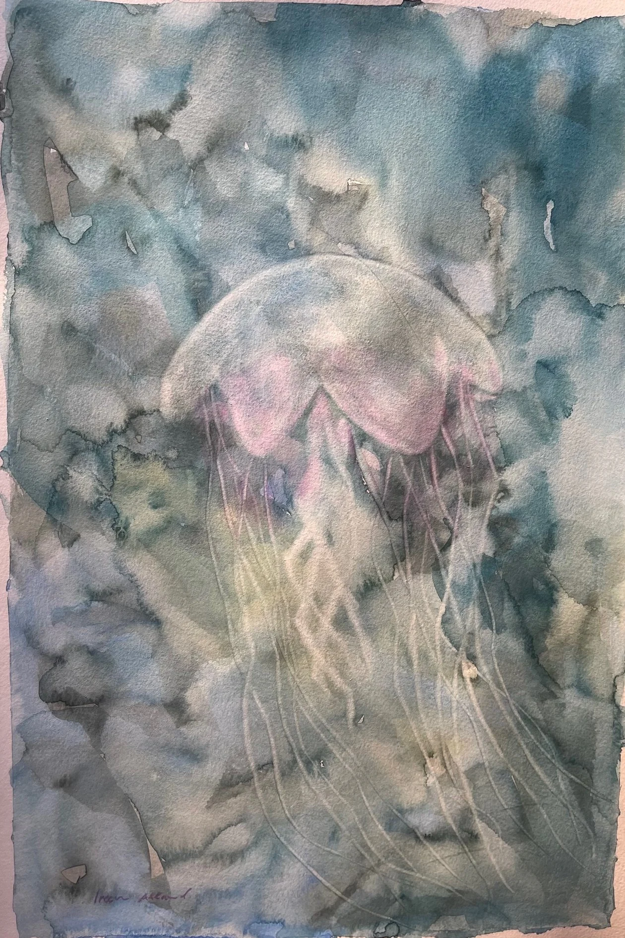 Ireen Alland, Shall We Dance 18x12