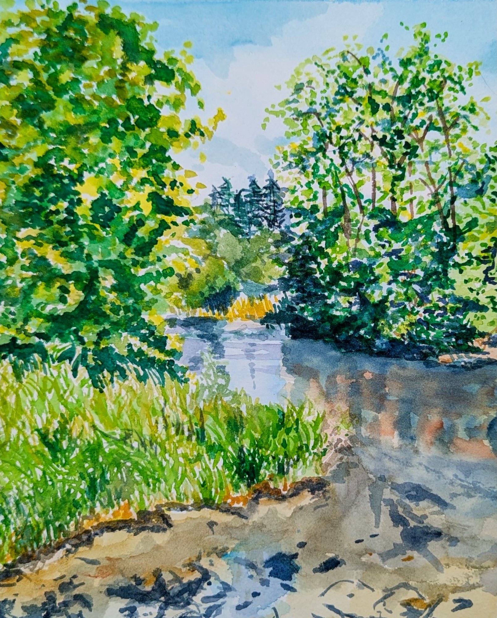 Lindy Colpo, Tumwater Basin 10x8