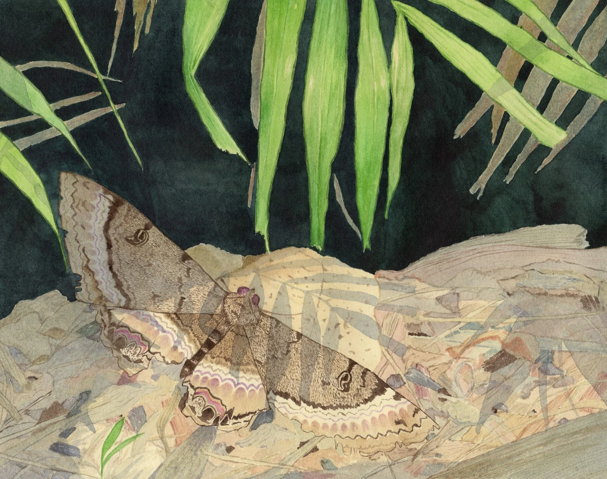 A Quiet Spot by Costanza Pernigotti 8x10