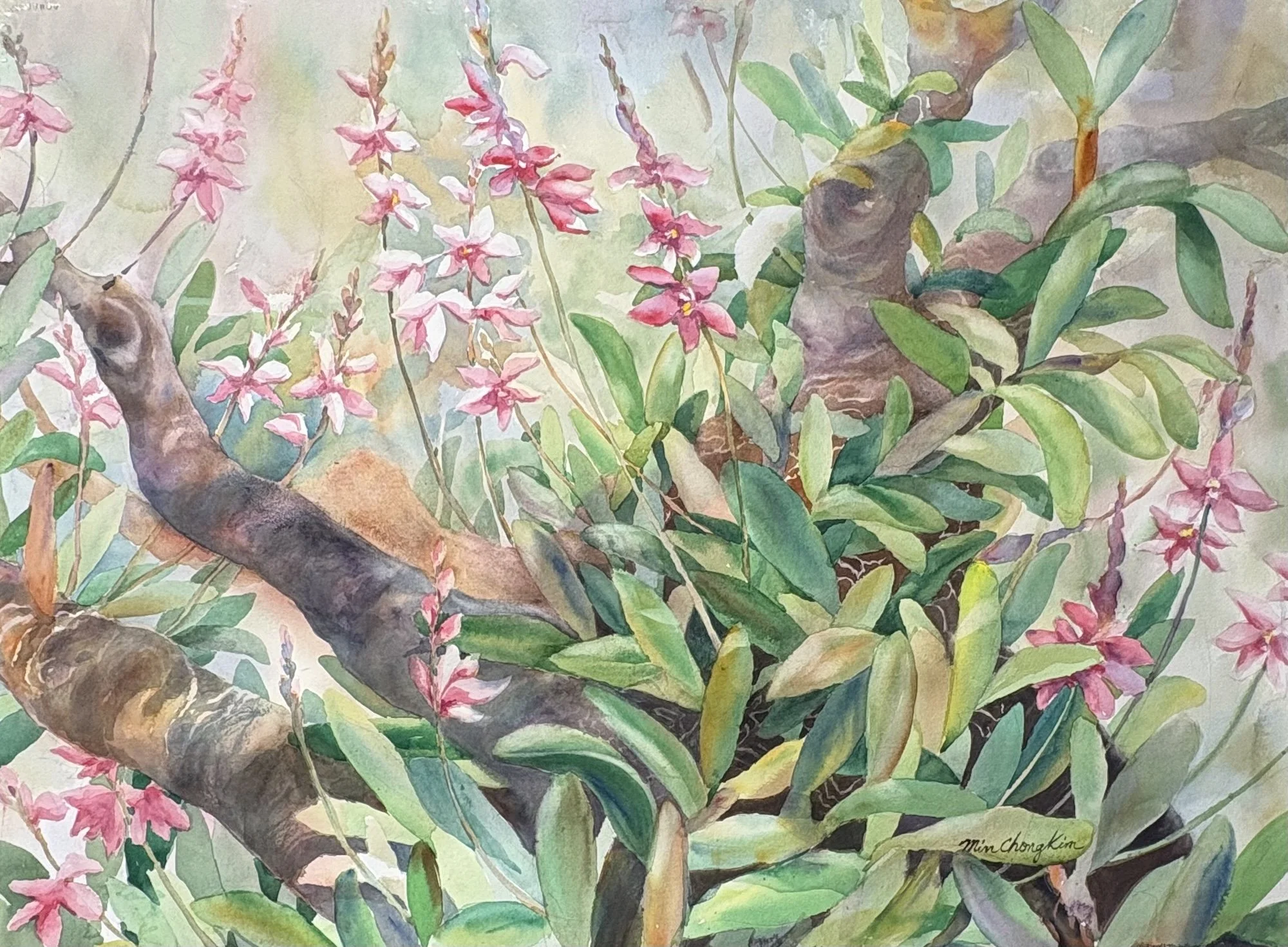 149-Orchids Whisper.jpeg