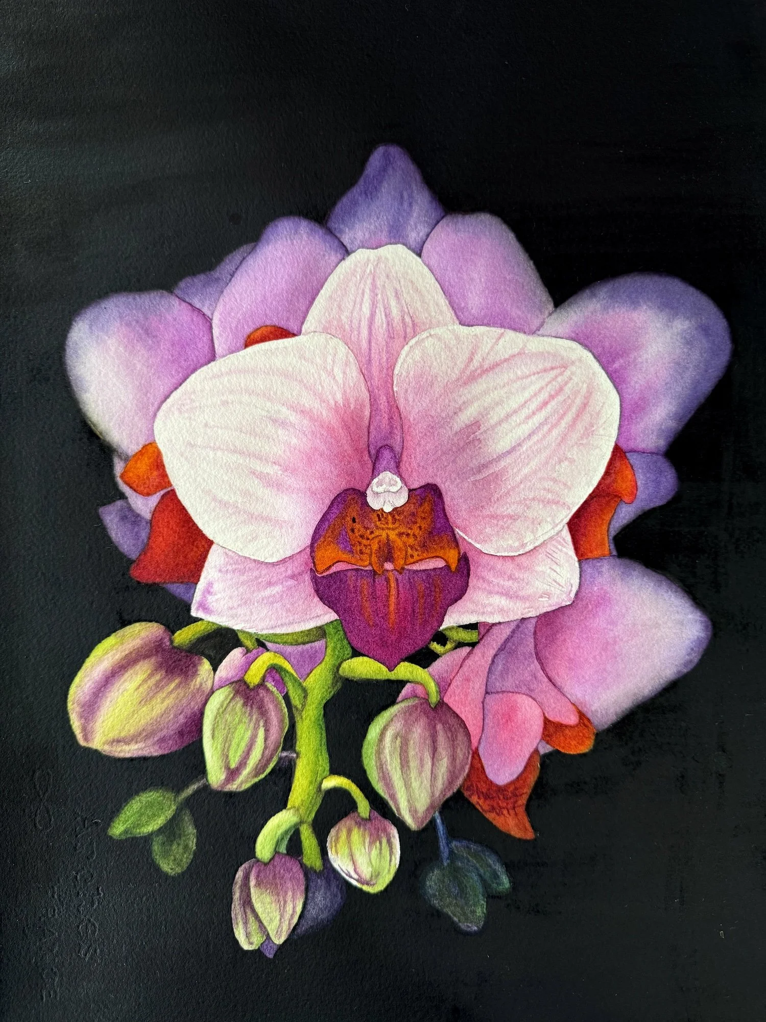 Sheree Latif, Midnight Glow, 14x11, Transparent Watercolor