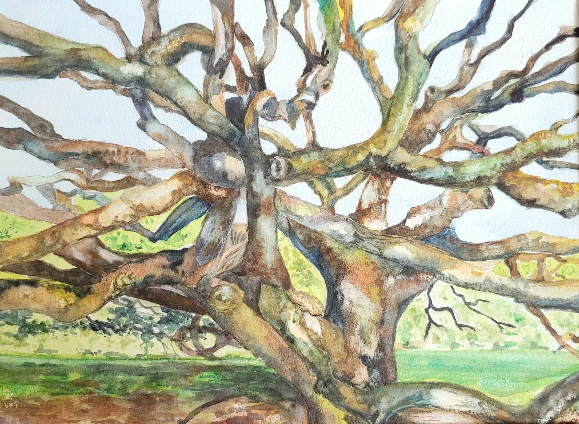 Frances Wong, Endless Flow, 8.5x11.5, Transparent Watercolor