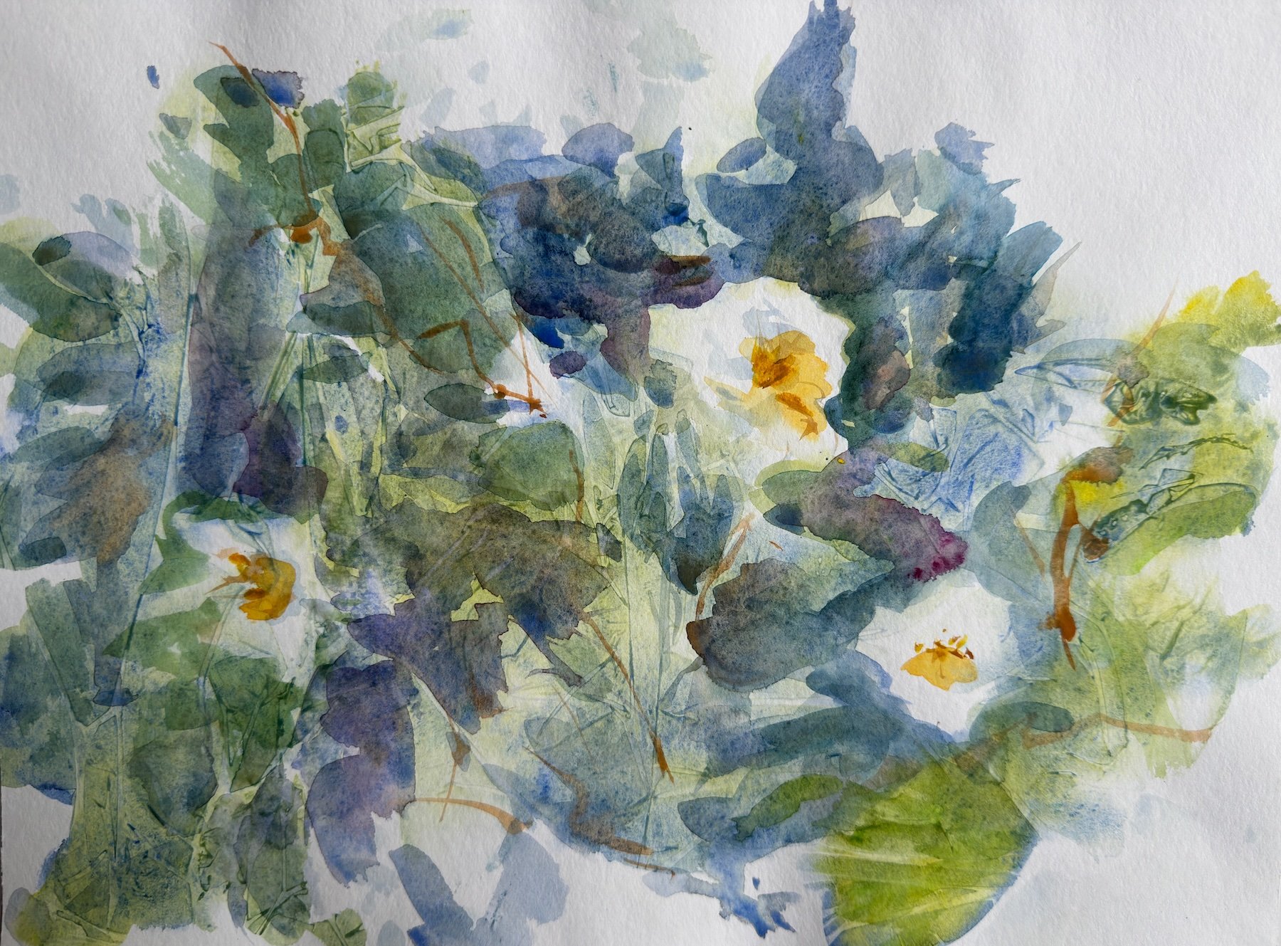After the Rain by Rochelle Weidner 12x16