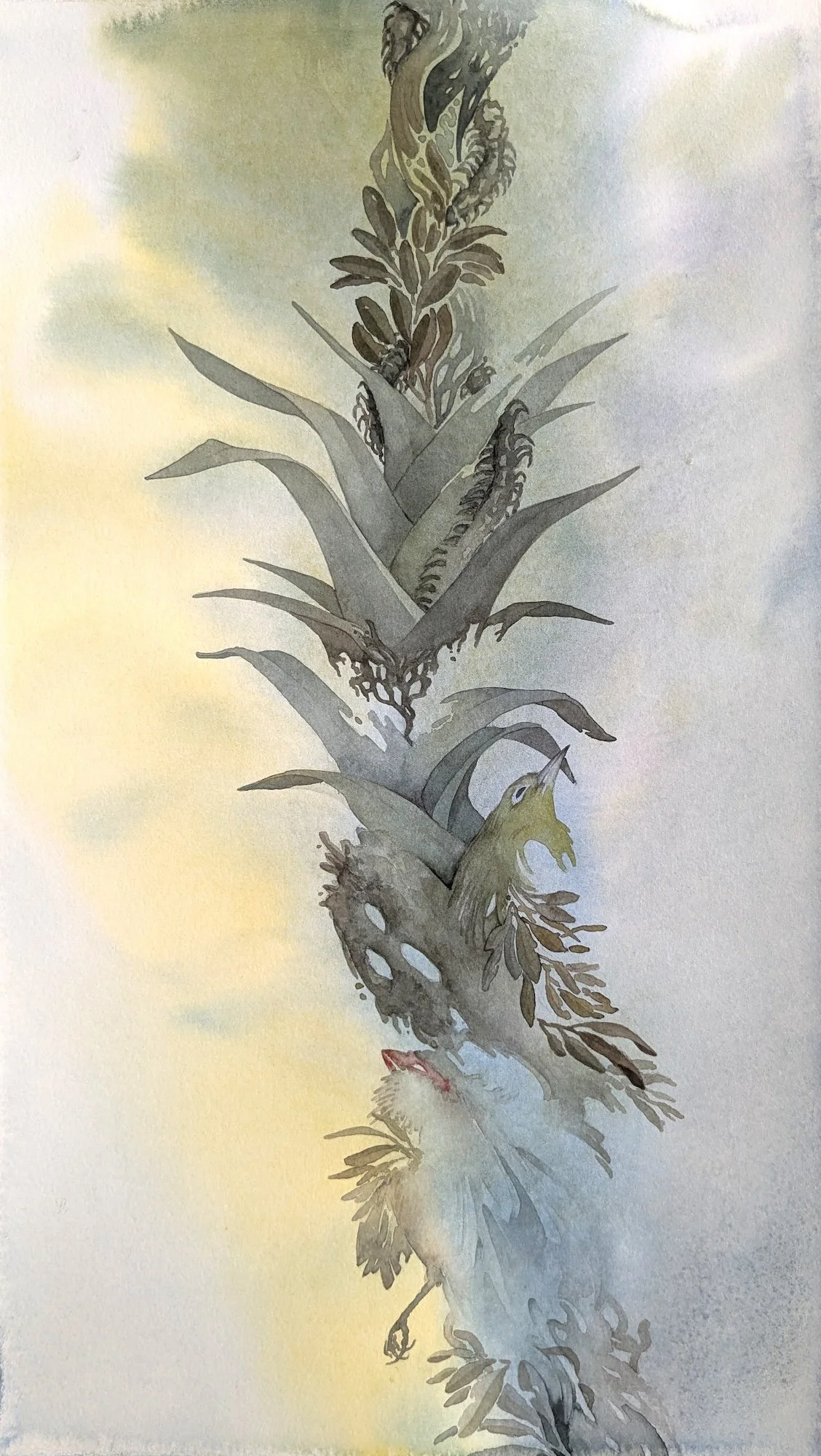 Emily Kearney-Williams, Pull, 16x10, Transparent Watercolor