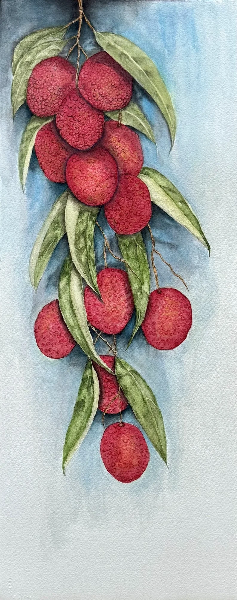 Lovelyn Voorhes, Red Hots, 33x13.5, Watercolor