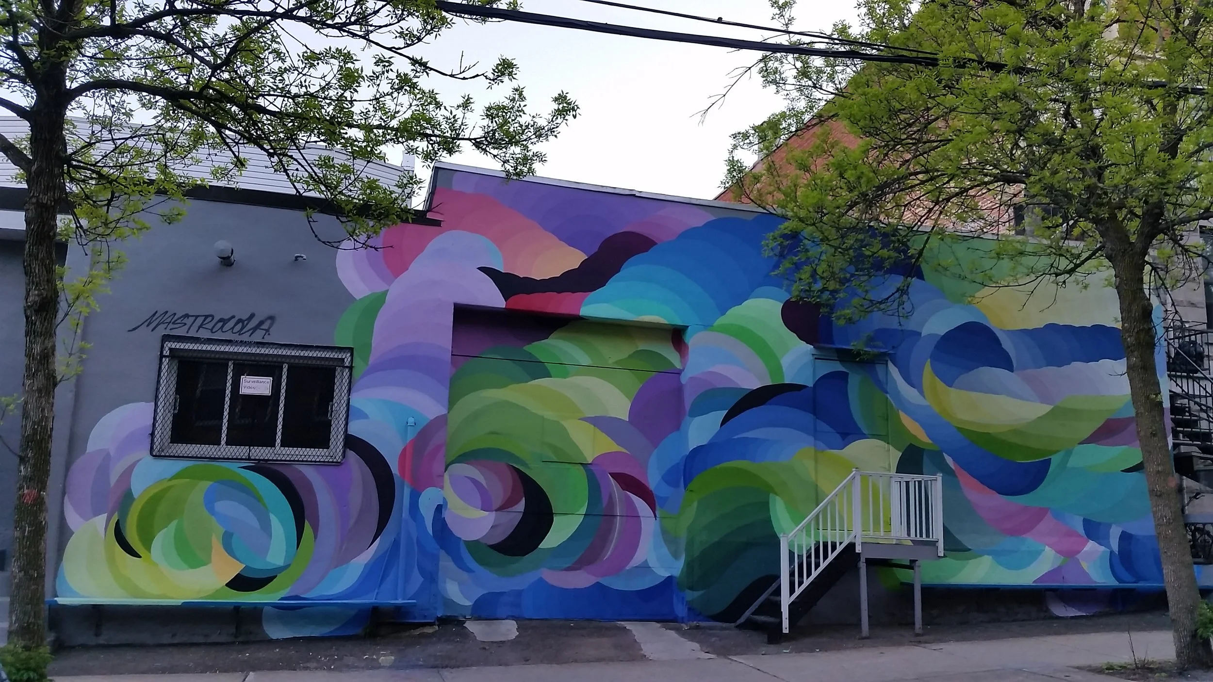 2017-05-19 19.26.47.jpg