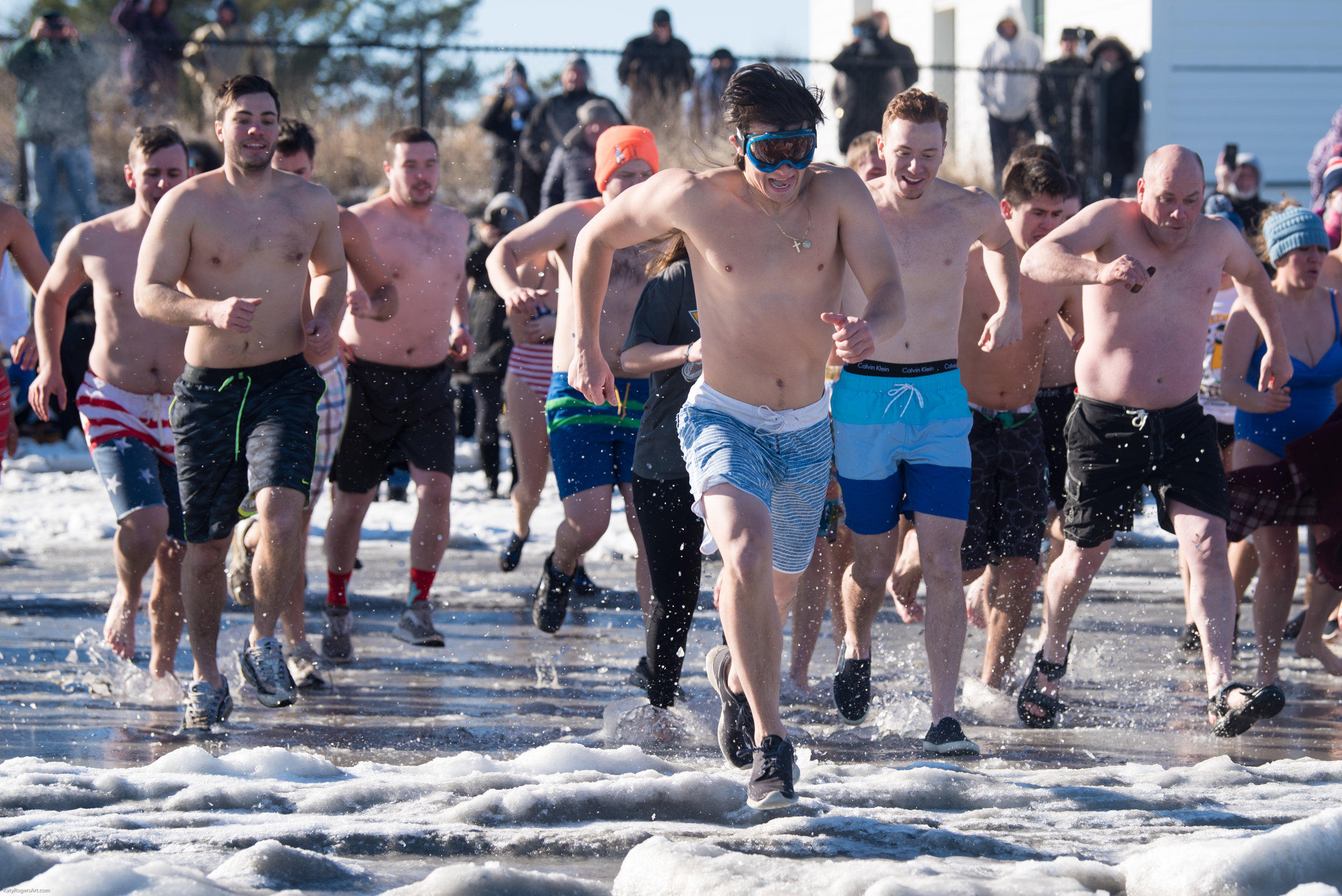 Polar Plunge