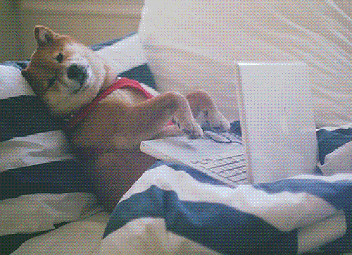 This is what the creating content on the new site will be like. Comfortable, yet efficient. And absolutely adorable?