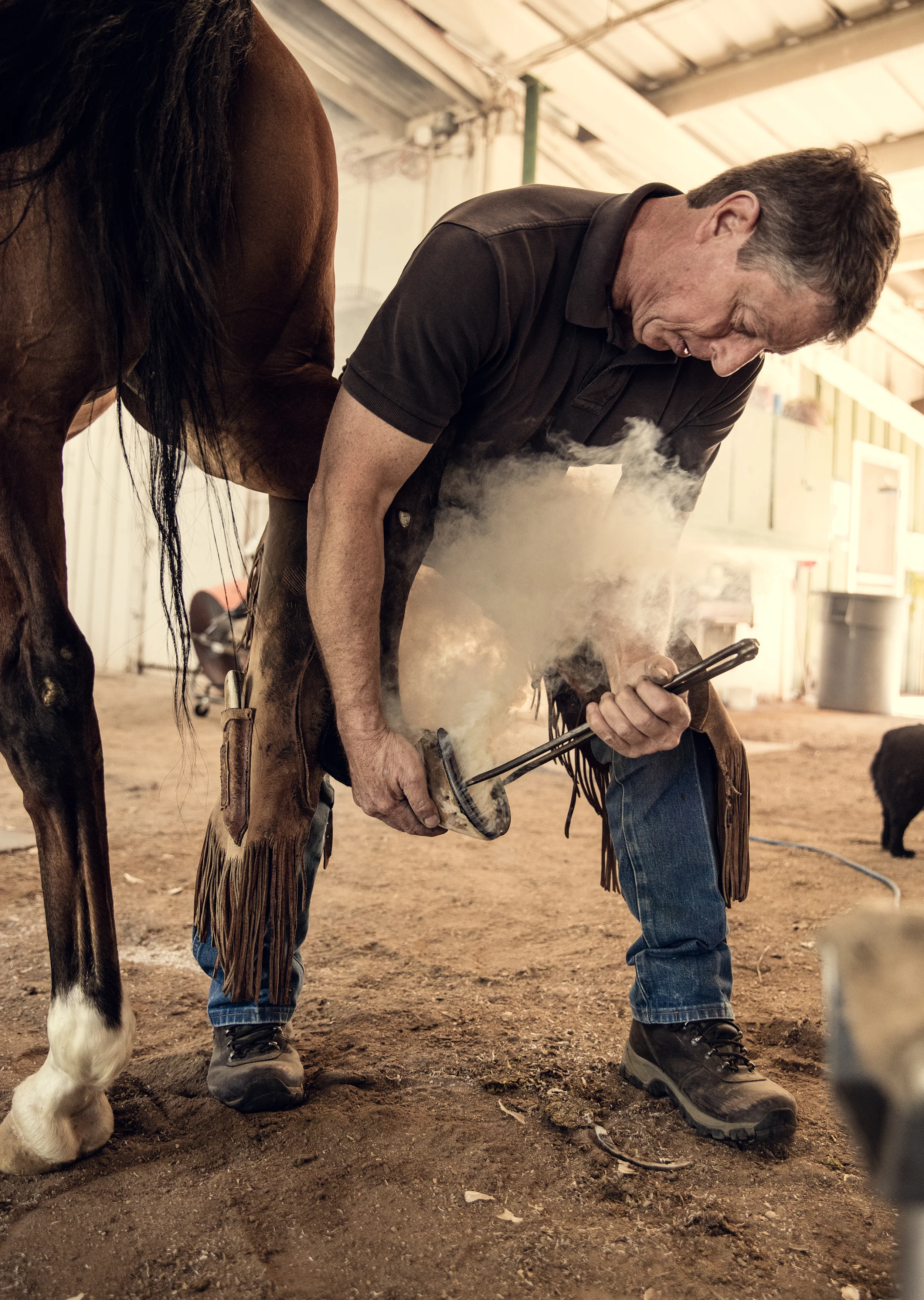 Farrier_SOS-2330.jpg