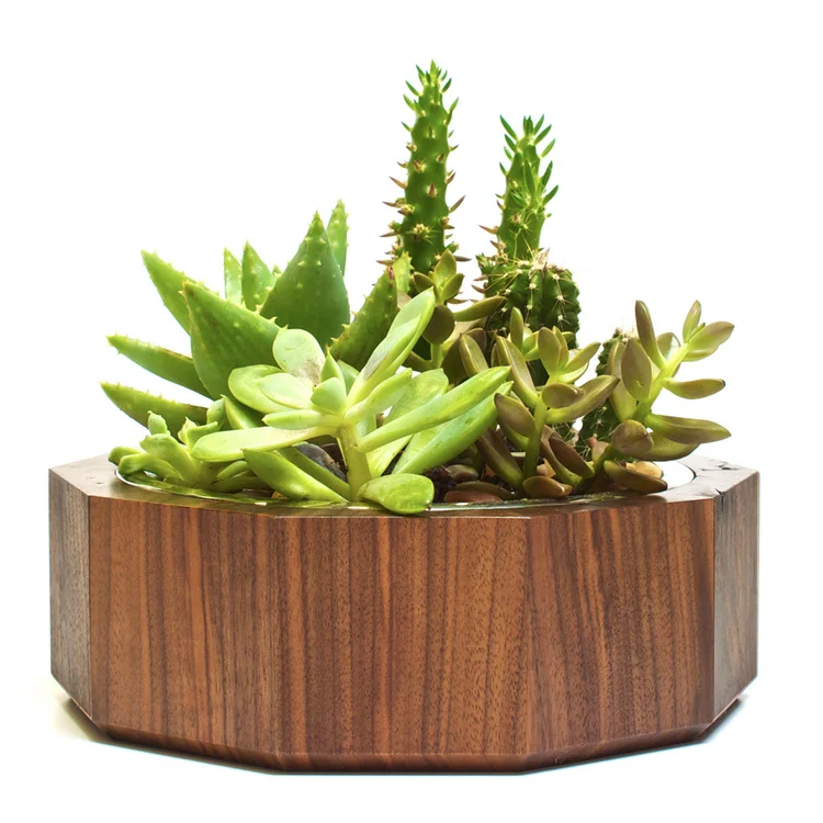 Walnut+Mojave.jpg