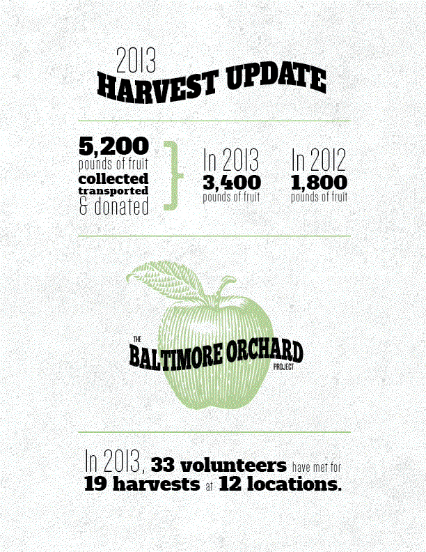 Infographic for donor materials