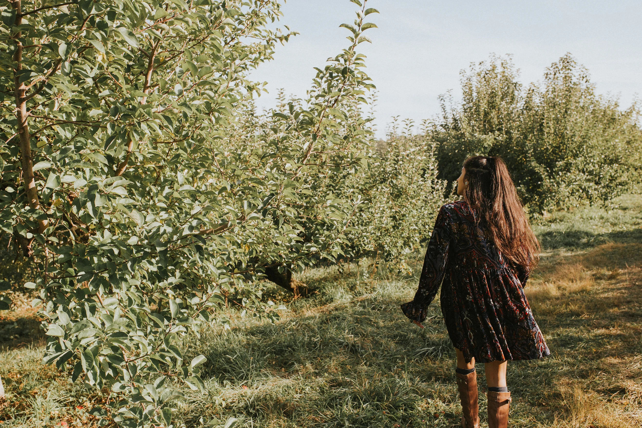 on the hunt for them apples!