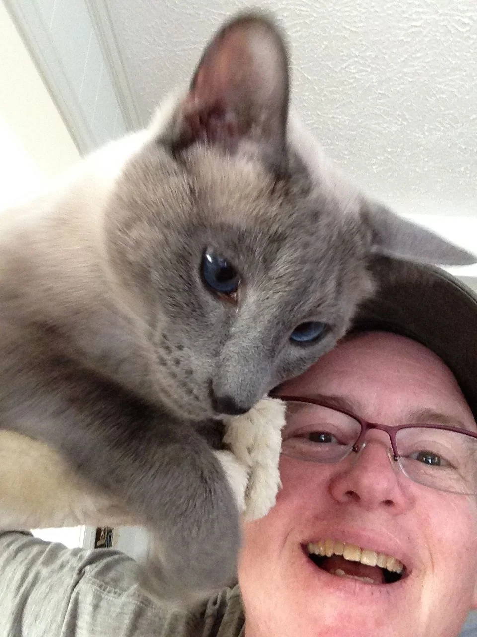 Leanne and Jaxson, a sweet Siamese cat and Carmel Pet Sitter client.