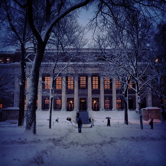 Zaśnieżony Harvard
