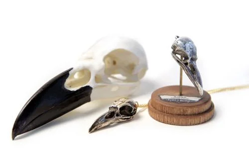 Raven_With_Skull_1024x1024.jpg