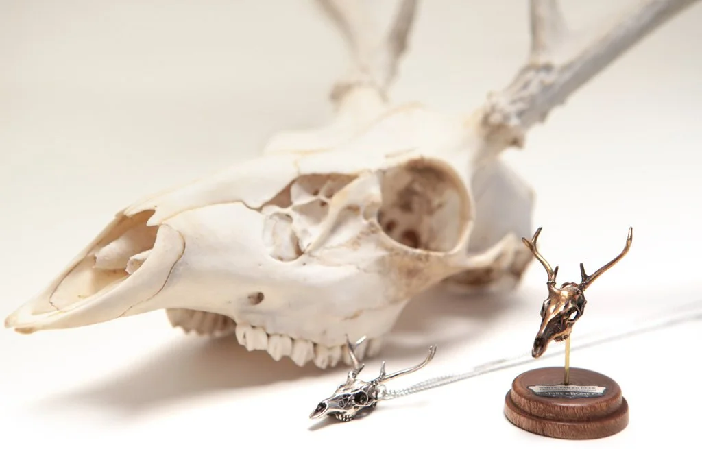 Deer_with-Skull_1024x1024.jpg