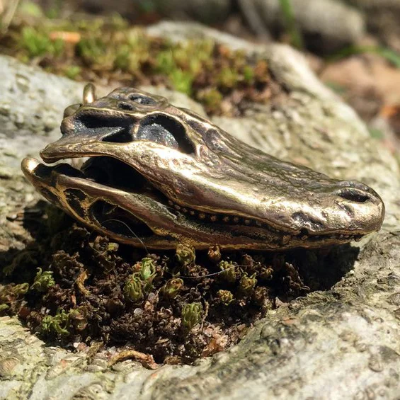 Alligator_Moss_2_1024x1024.jpg