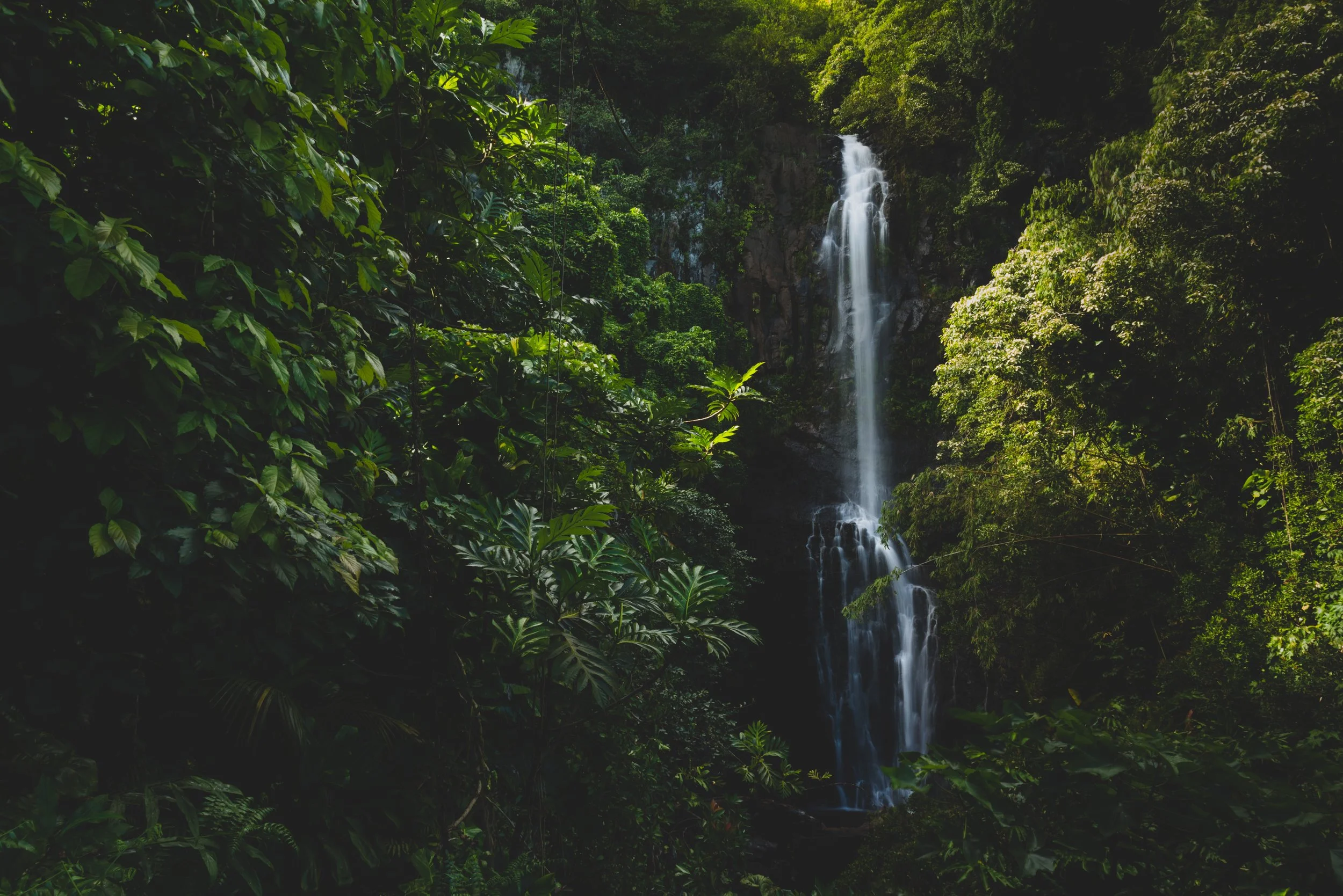 ganapathy-kumar-1141849-unsplash.jpg