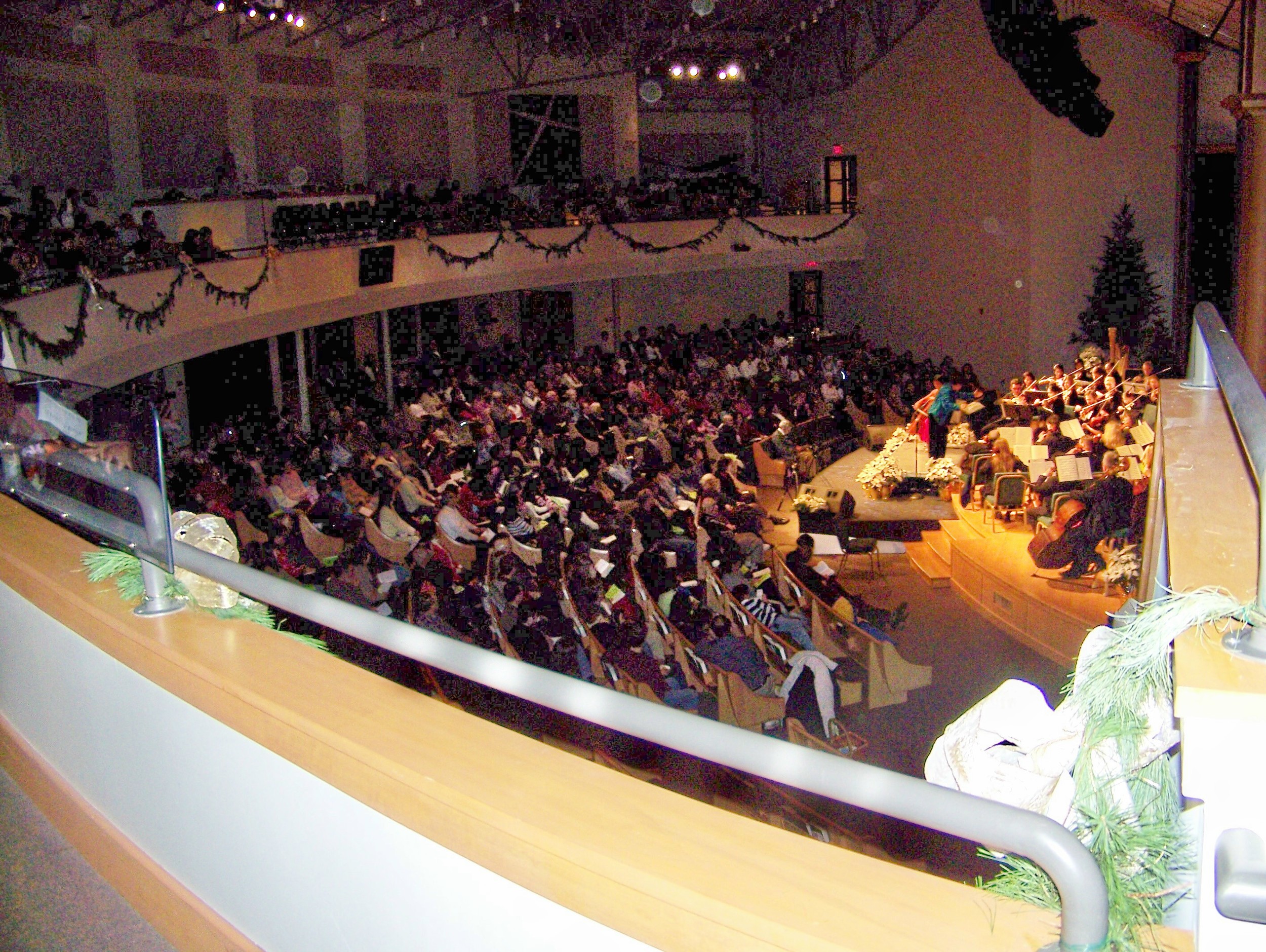 Audience enjoying the concert
