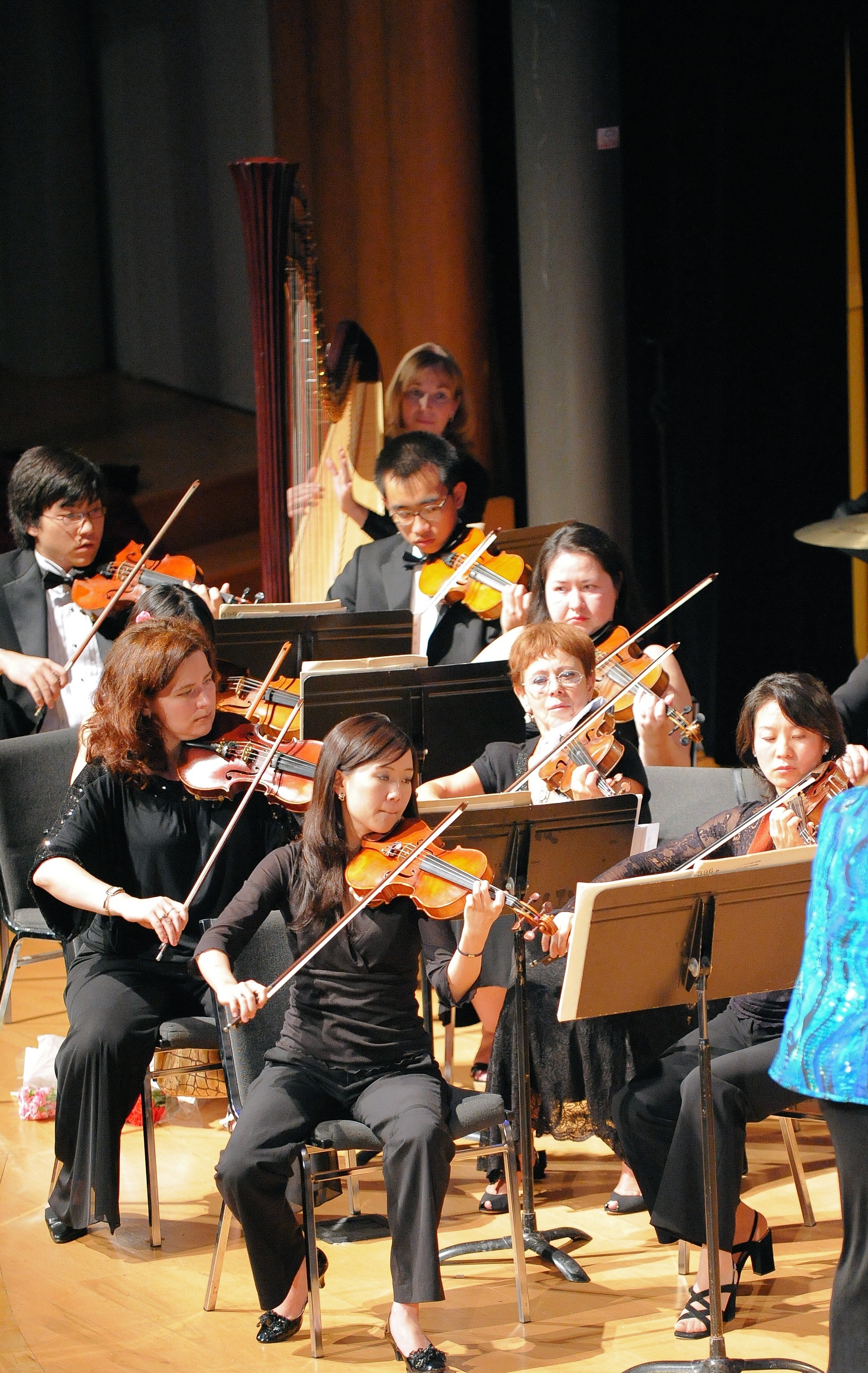 Wonderful violinist and harpist