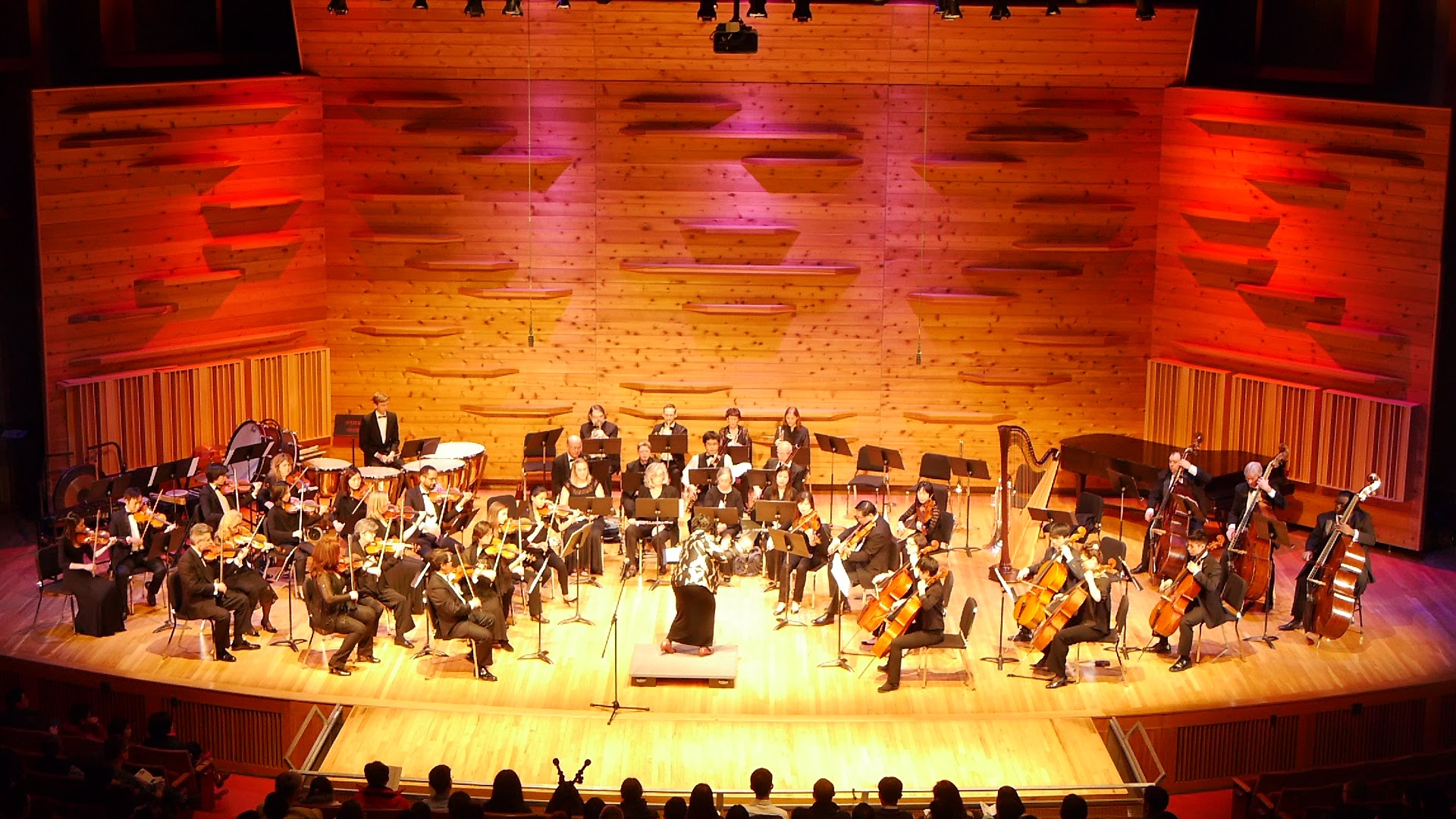 The orchestra in an inspiring and engaging performance of Mozart Symphony No. 35