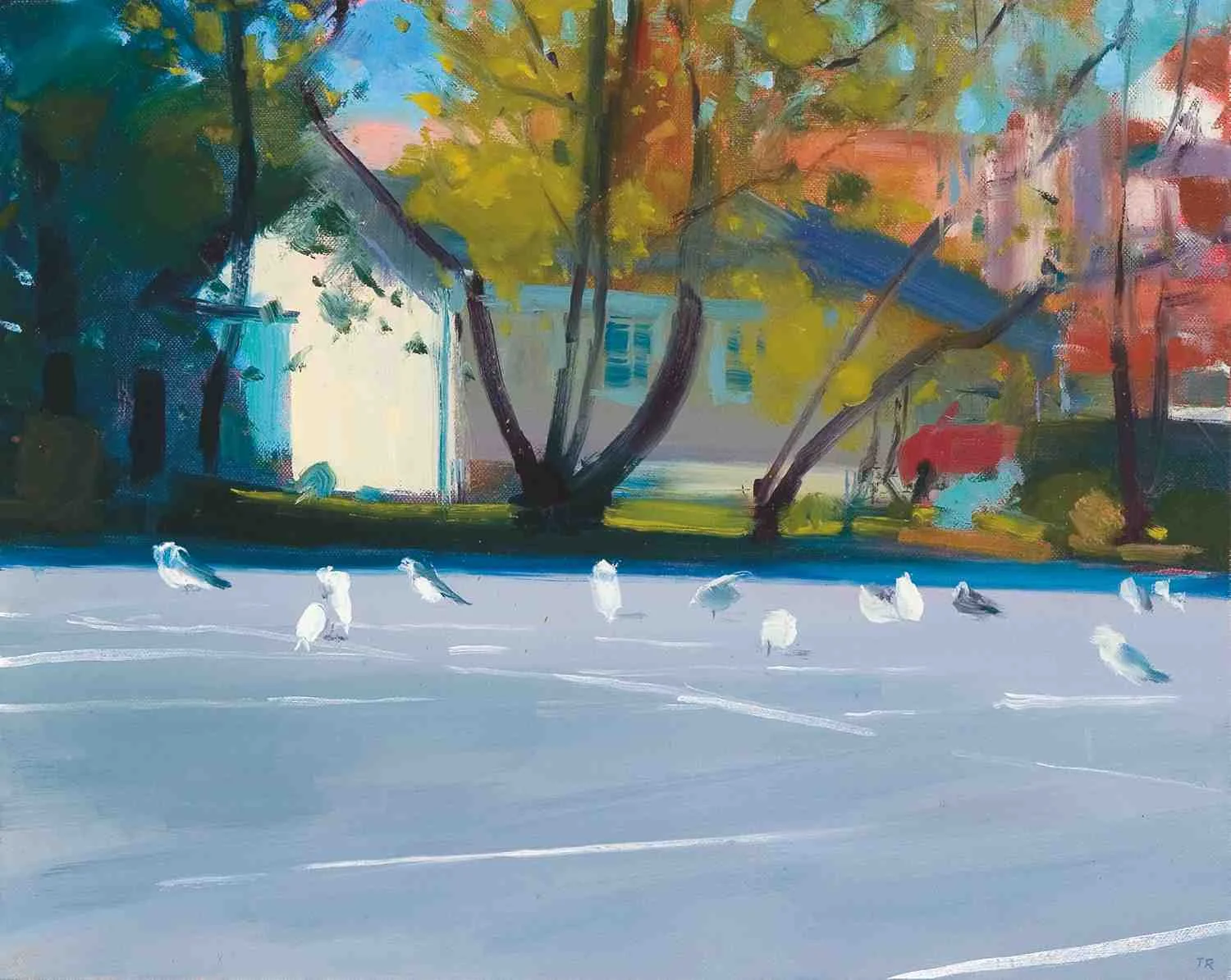 "Parking Gulls" 16" x 20" Oil on Canvas 2014 Private Collection