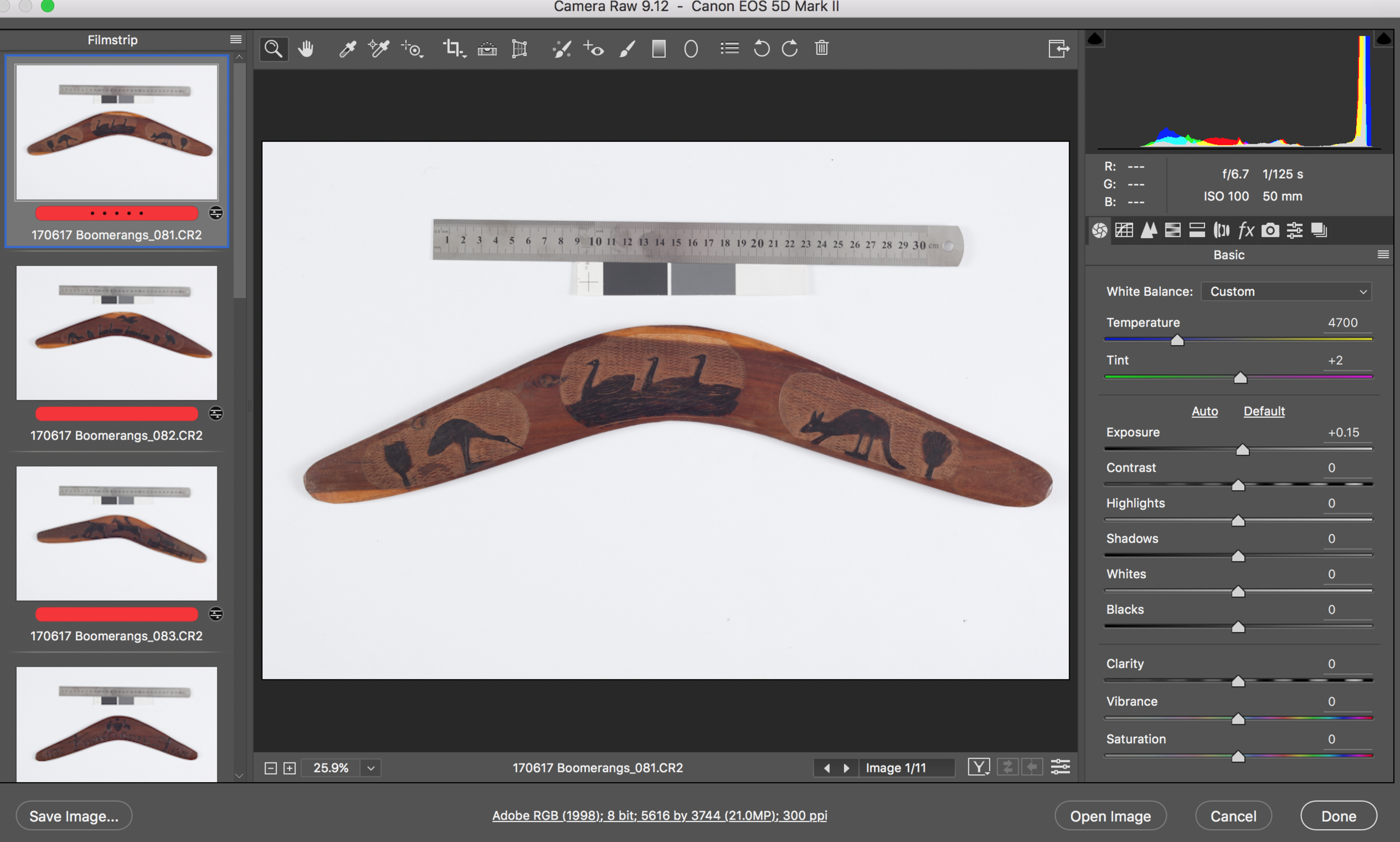 Screenshot of Adobe Camera Raw edit window.