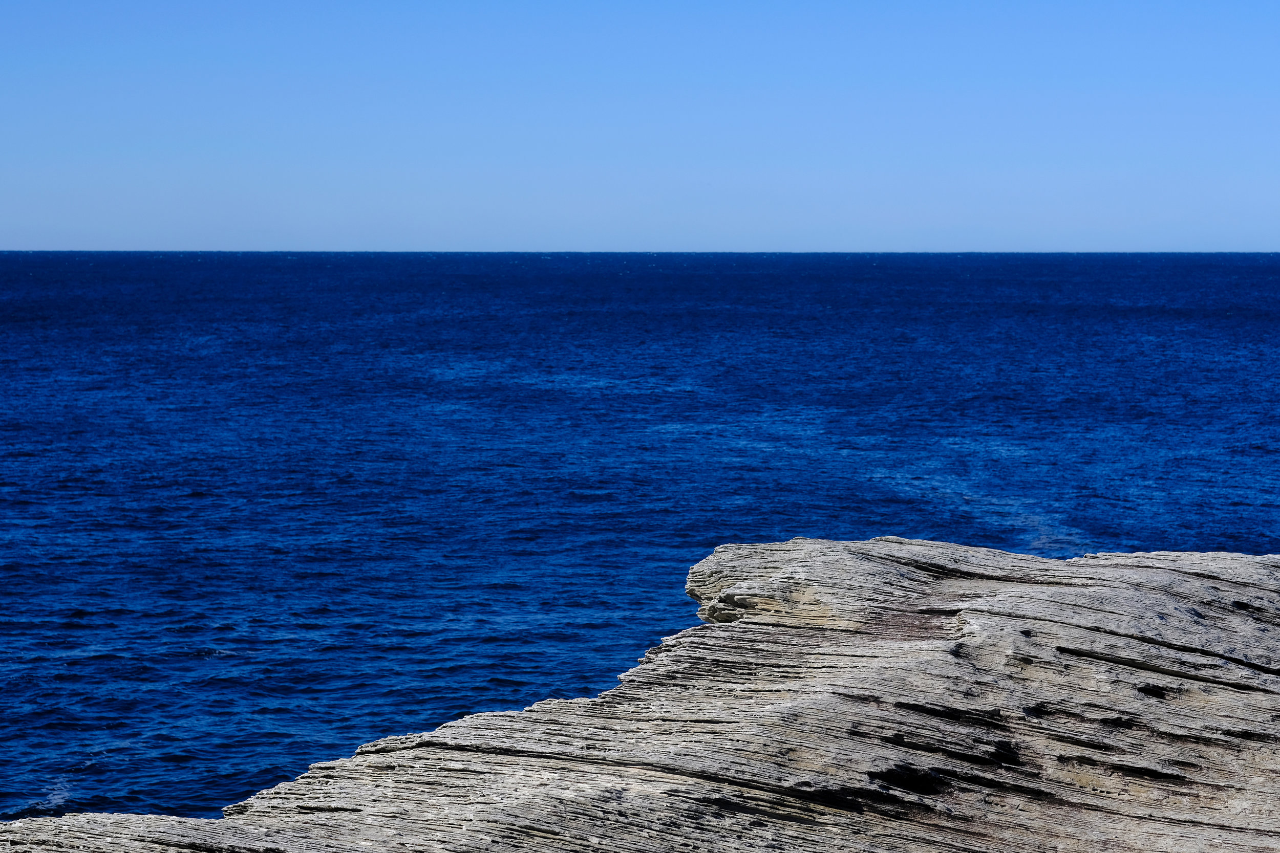 Pretty-Blues-in-La-Perouse.jpg