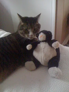 Simon and Matt the cat.