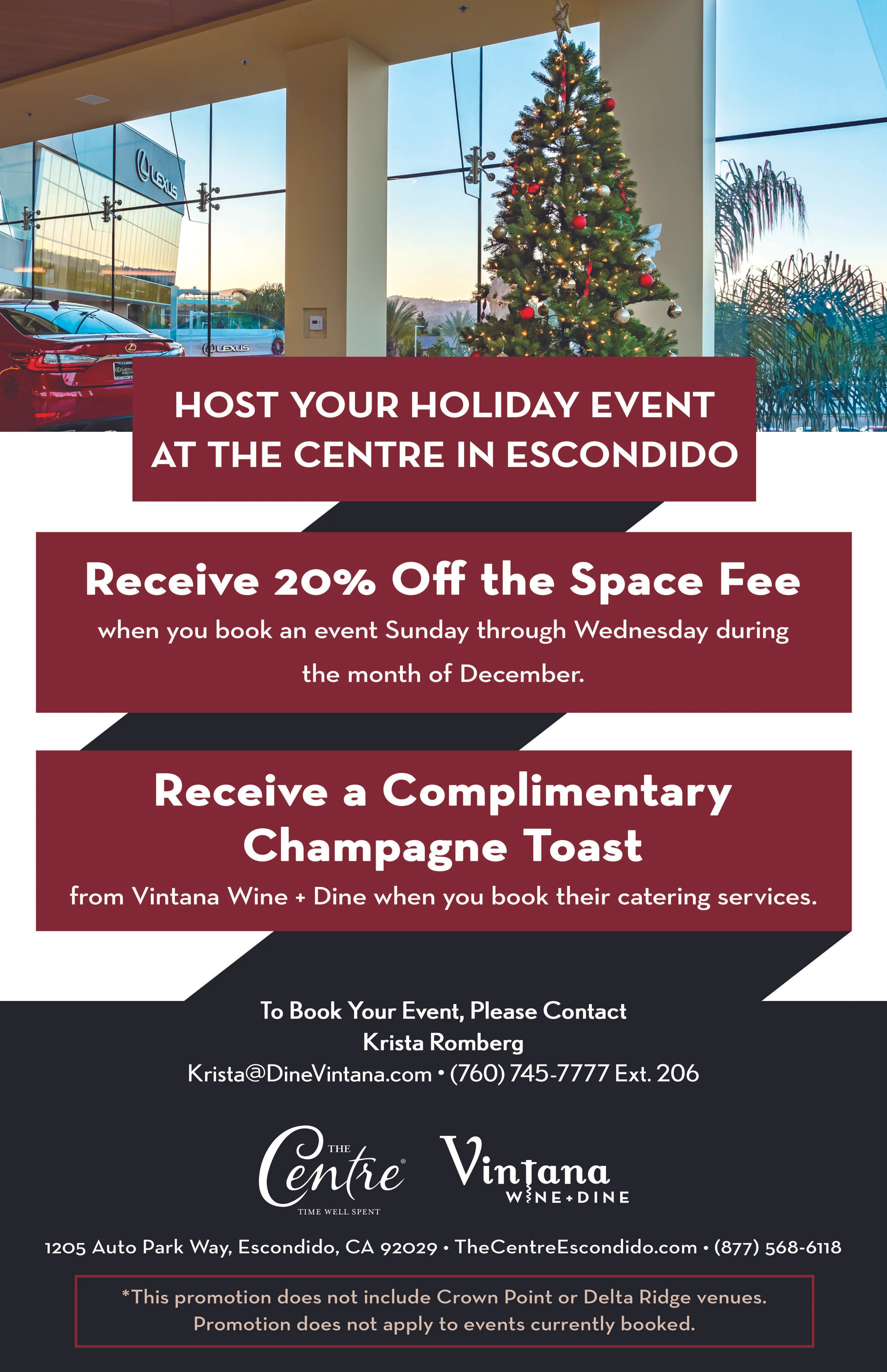 The Centre 20% Holiday Promo Flyer and Email Blast